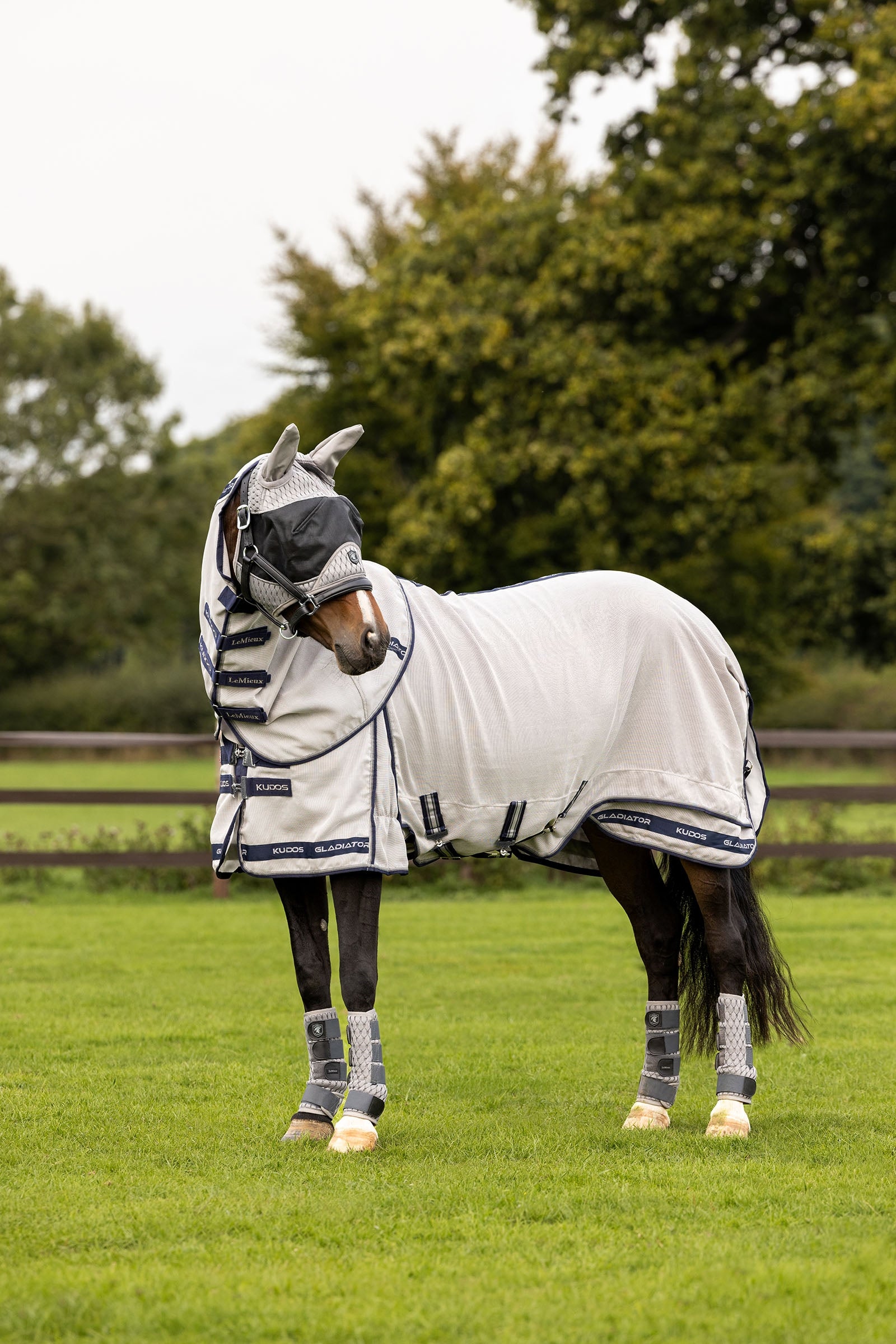 LeMieux Kudos Gladiator kärpässuoja loimi Loimet