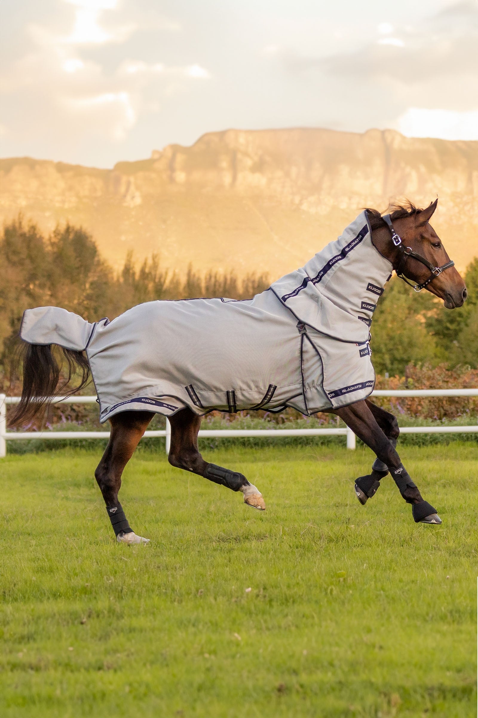 LeMieux Kudos Gladiator Fly Rug Horse Rugs