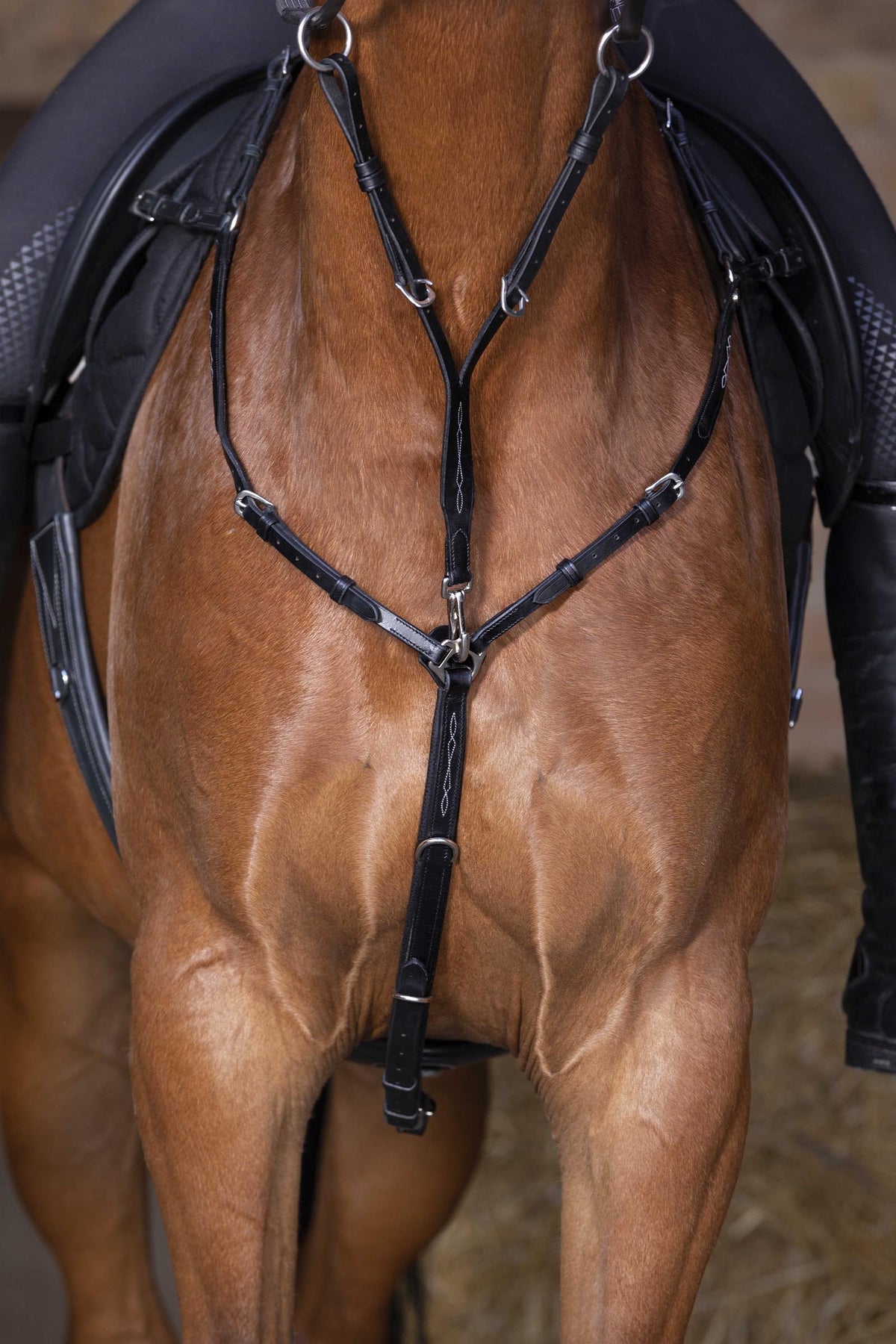 ERIC THOMAS HYBRID Breastplate Bridles & Reins
