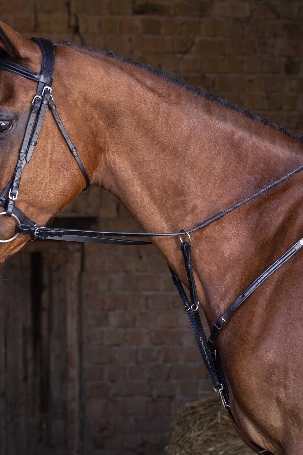 ERIC THOMAS HYBRID Breastplate Bridles & Reins