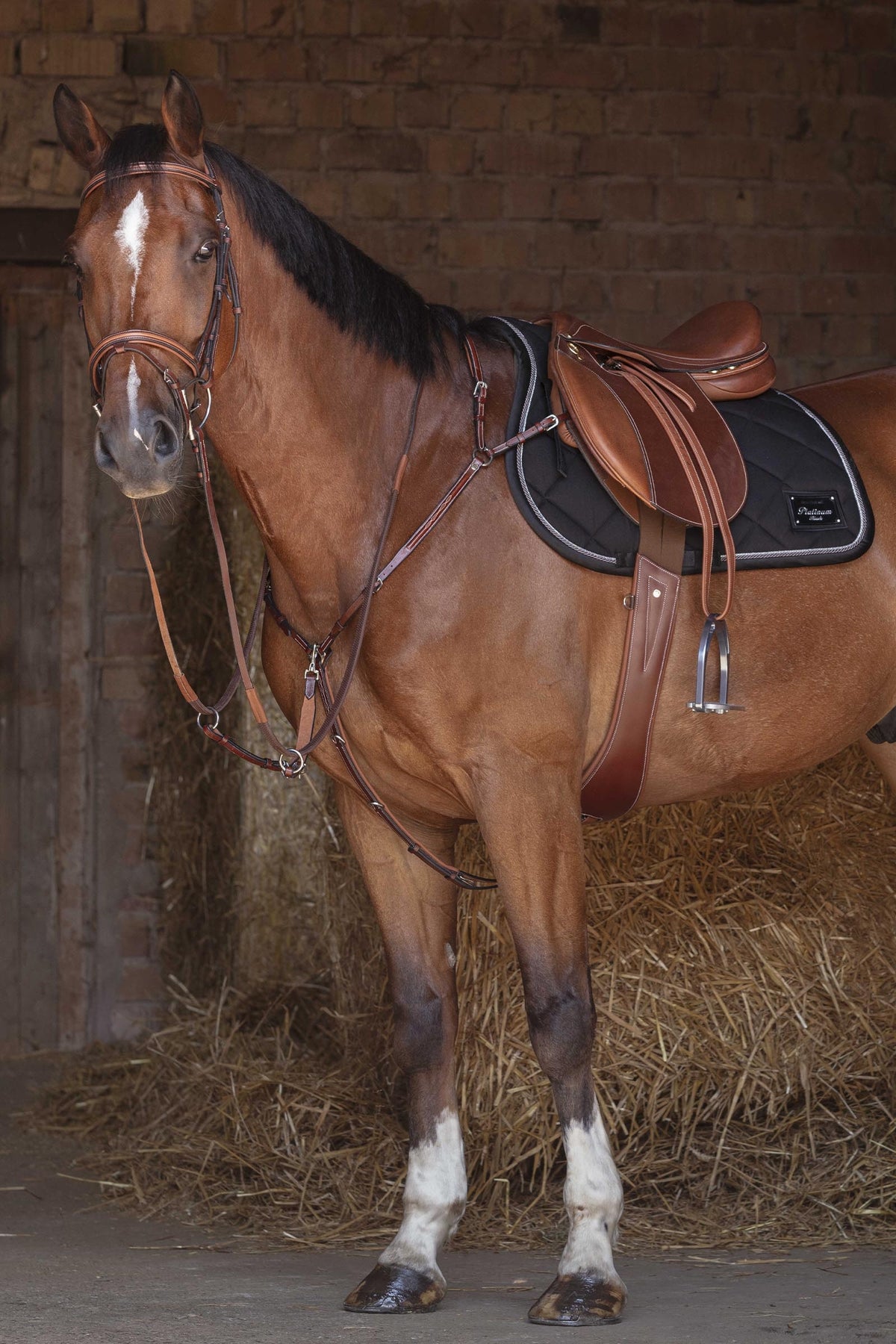 ERIC THOMAS HYBRID Breastplate Bridles & Reins