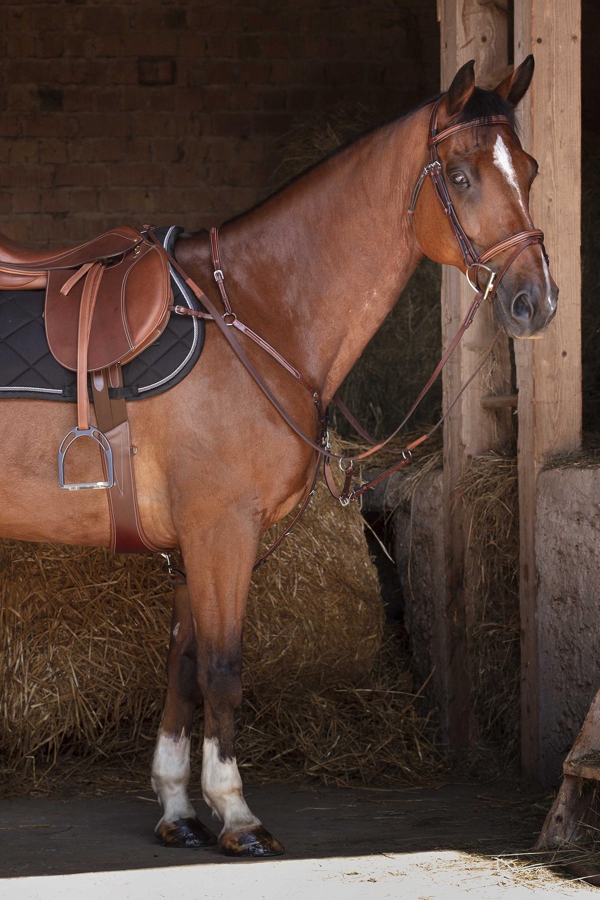 ERIC THOMAS HYBRID Breastplate Bridles & Reins