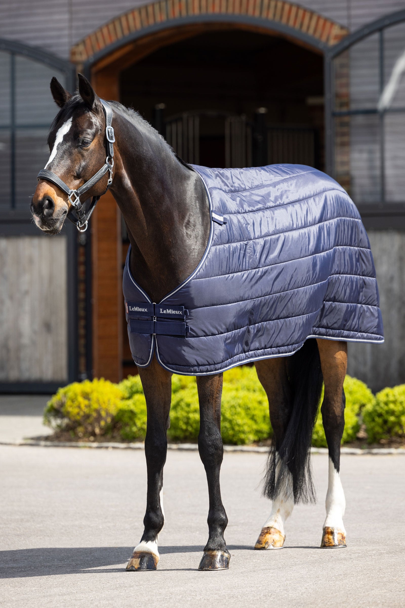 LeMieux Rug Liner, 200g Horse Rugs