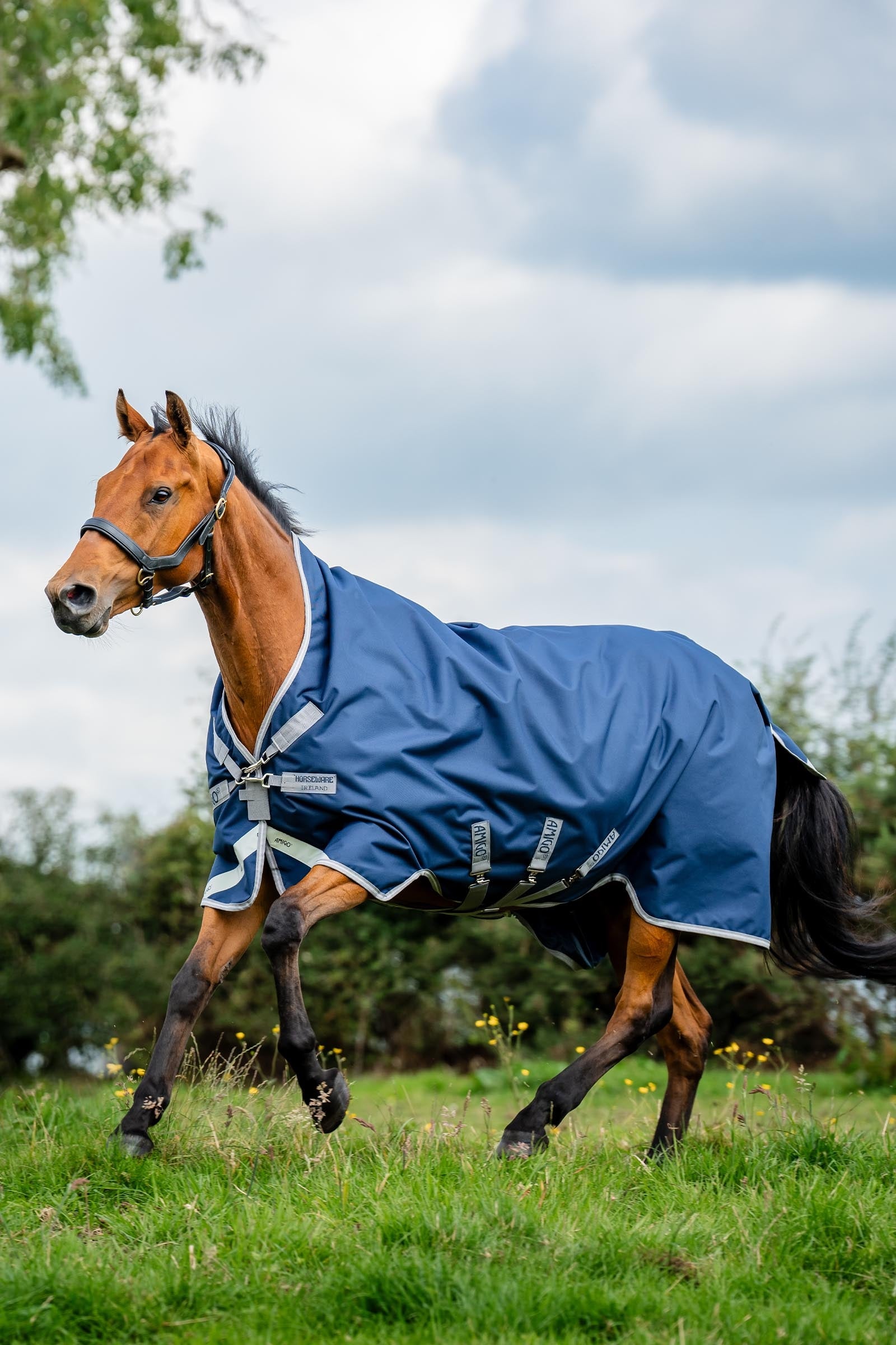 Horseware Amigo 1200D Wug Turnout 50 g Horse Rugs