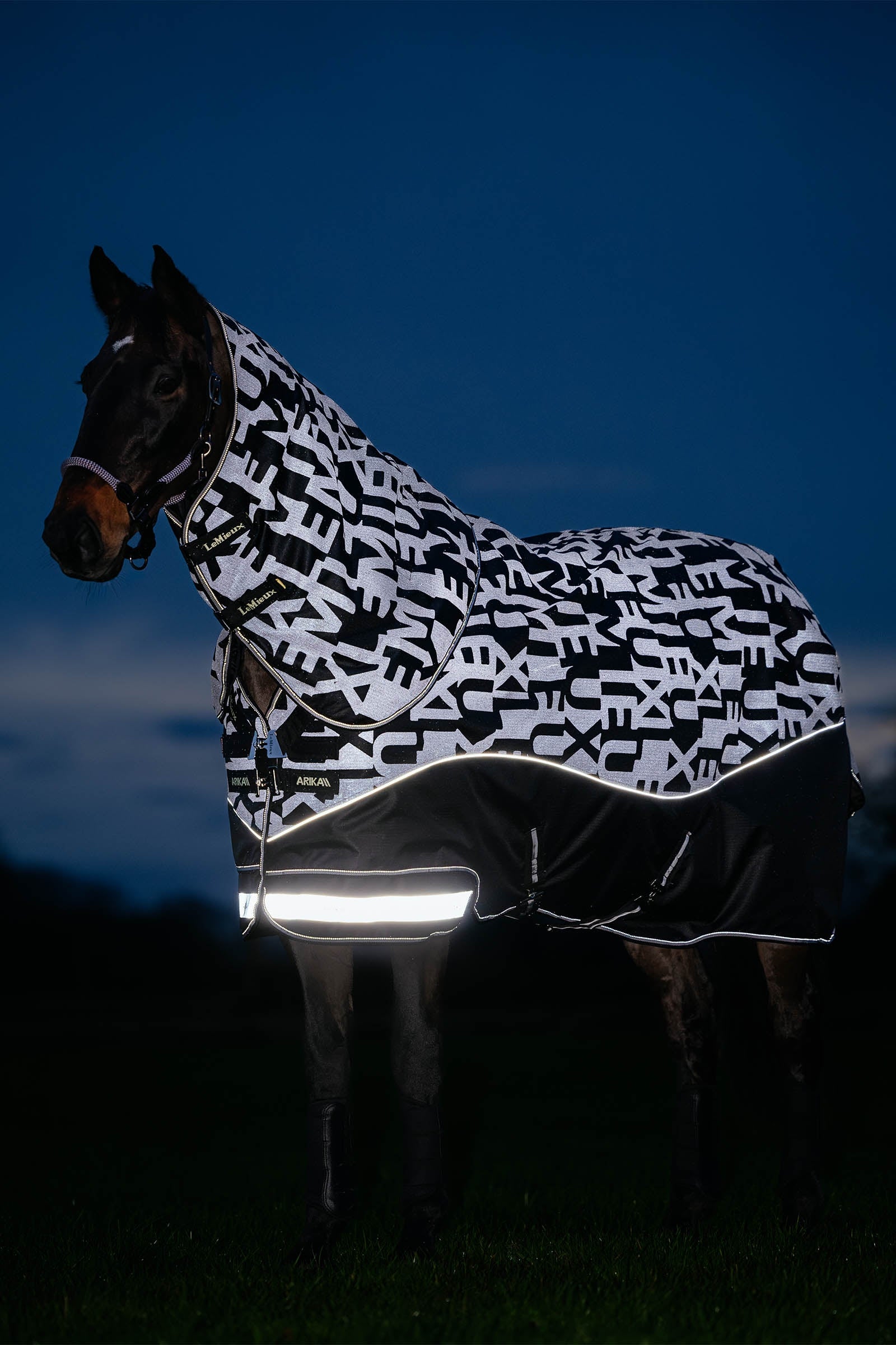 LeMieux Arika Reflective Turnout Rug With Detachable Neck, 100 g Horse Rugs