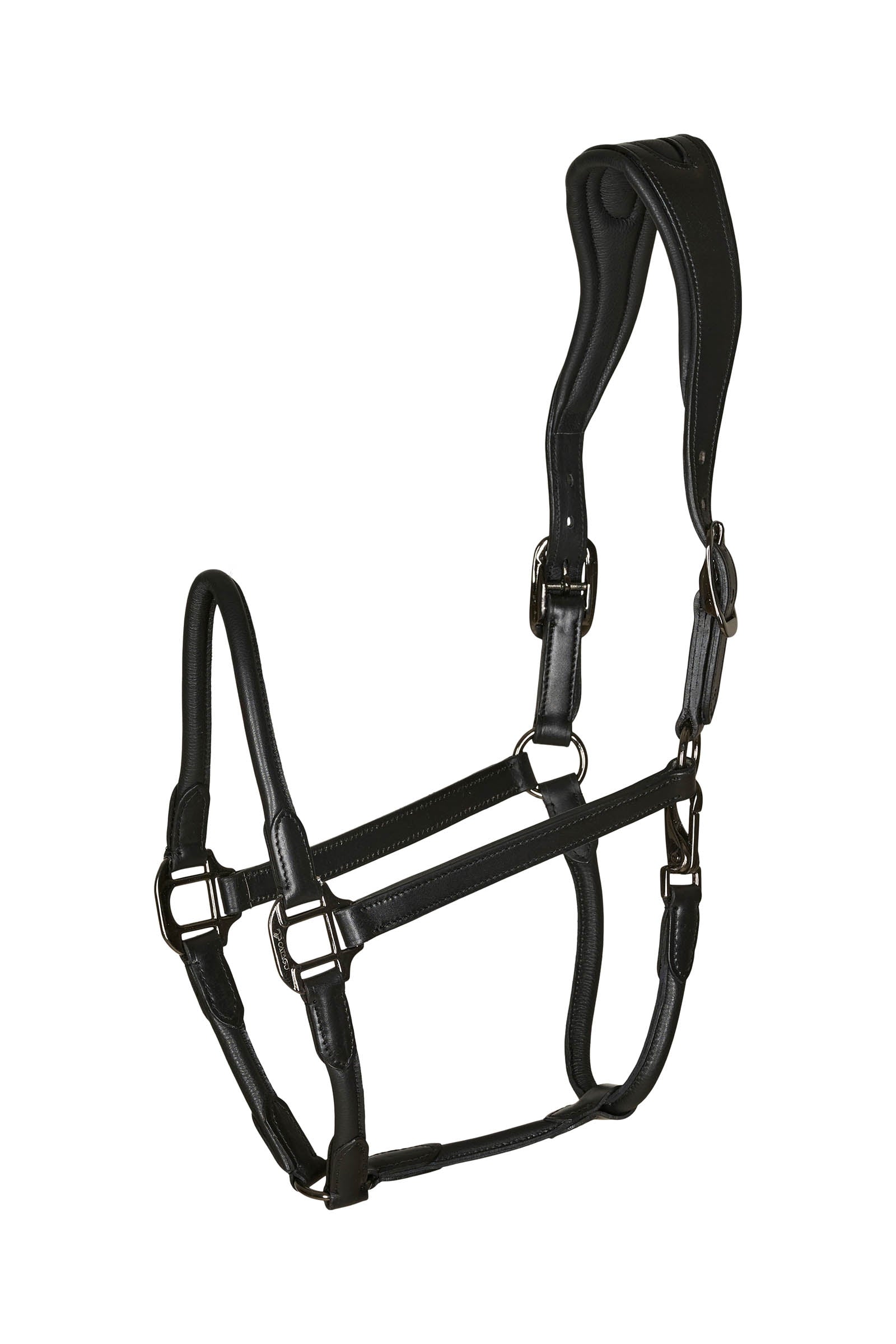 Catago leather halter with round-stitched noseband Riimut & riimunnarut