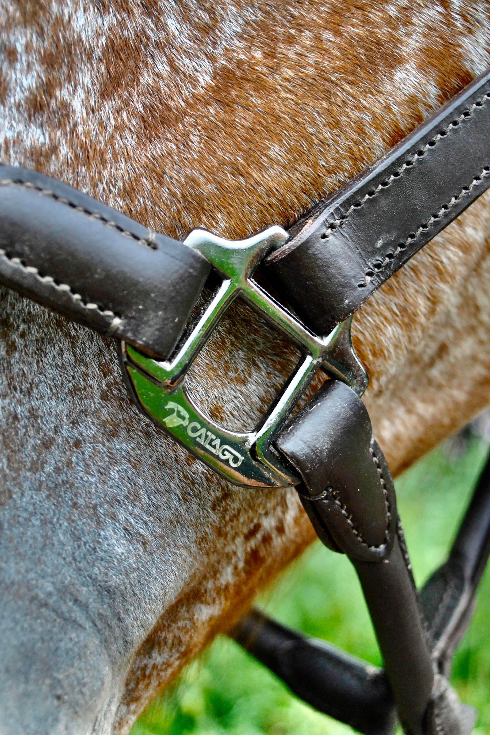 Catago leather halter with round-stitched noseband Halters & Leads