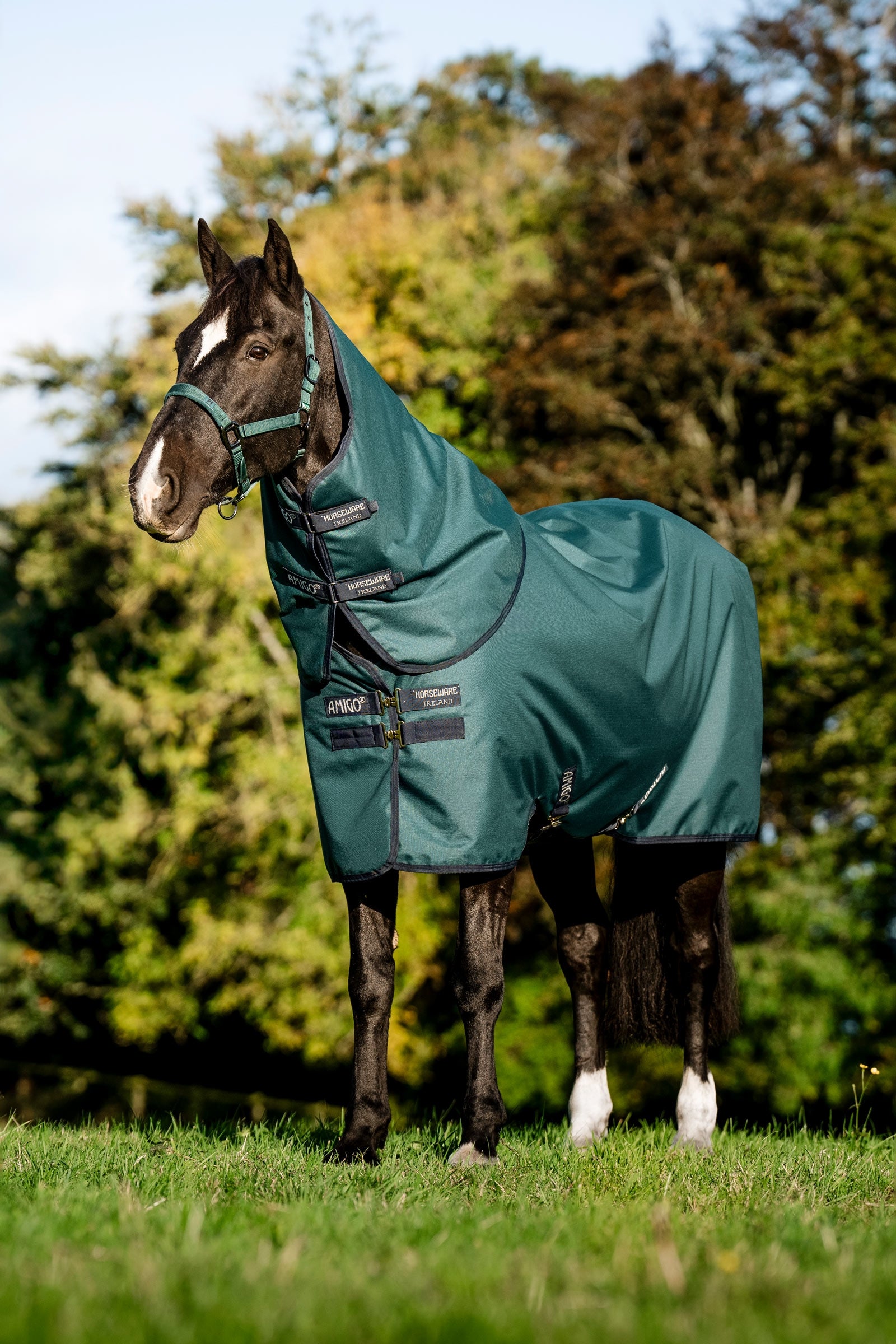 Horseware Amigo Ripstop 900D Plus ulkoloimi ponille, 100 g Loimet