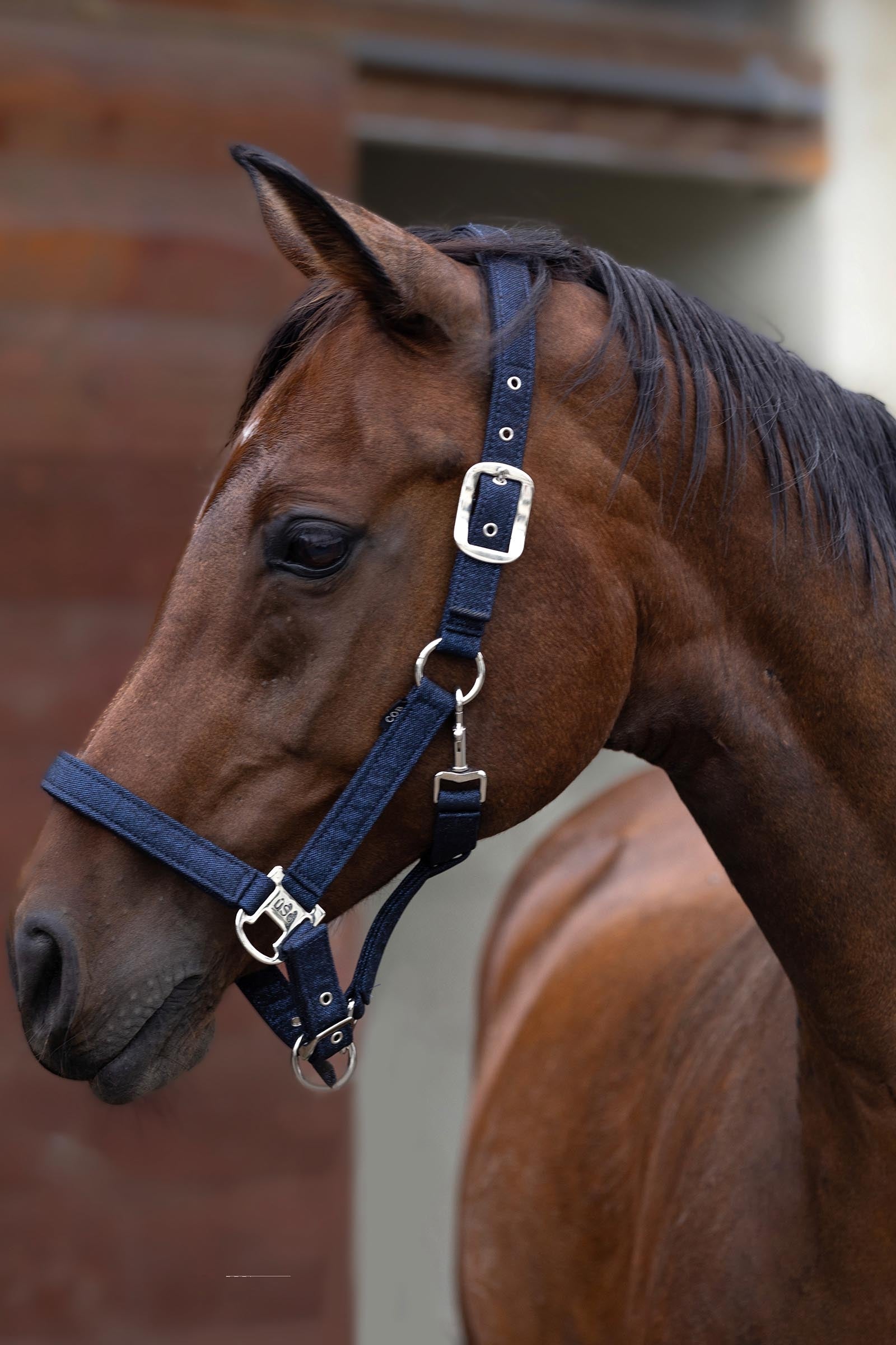 USG Onyx Softly Padded Halter Halters & Leads