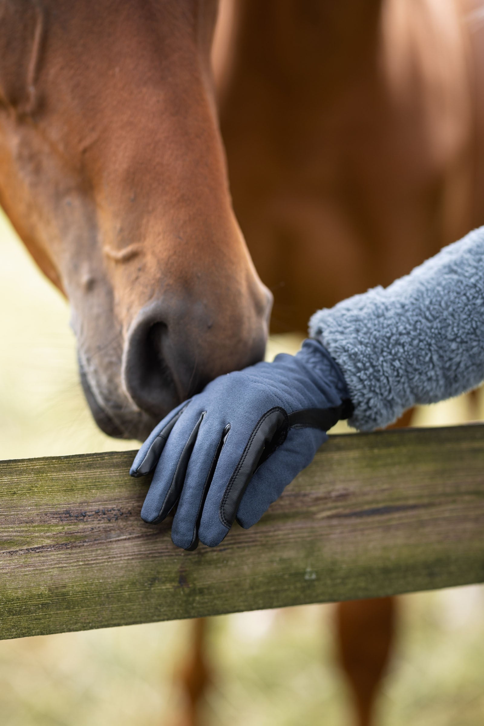 Horze Jimena All Season Riding Gloves Riding Gloves