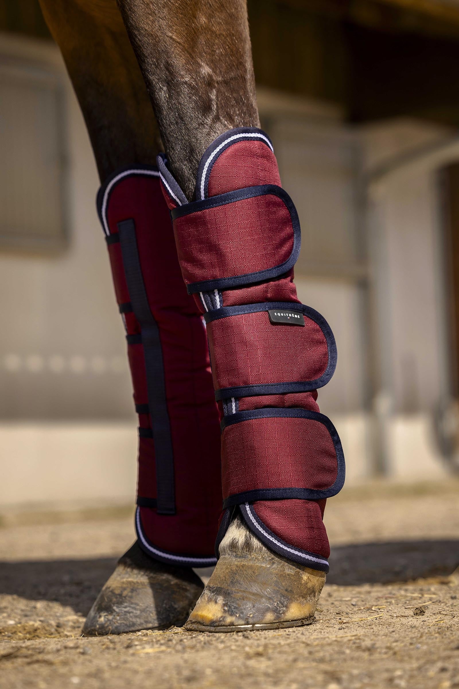 Equi Theme EQUITHÈME TYREX Aisance 1200D kuljetussuojat Leg & Hoof Protection