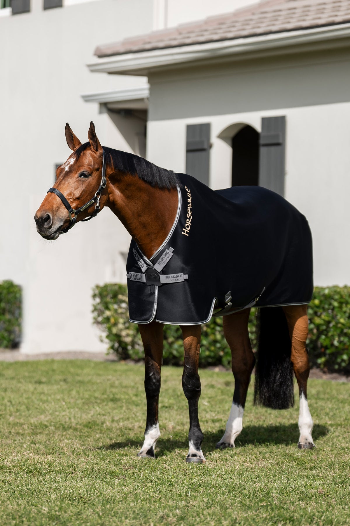 Horseware Rambo Disc Front Airmax Cooler Horse Rugs