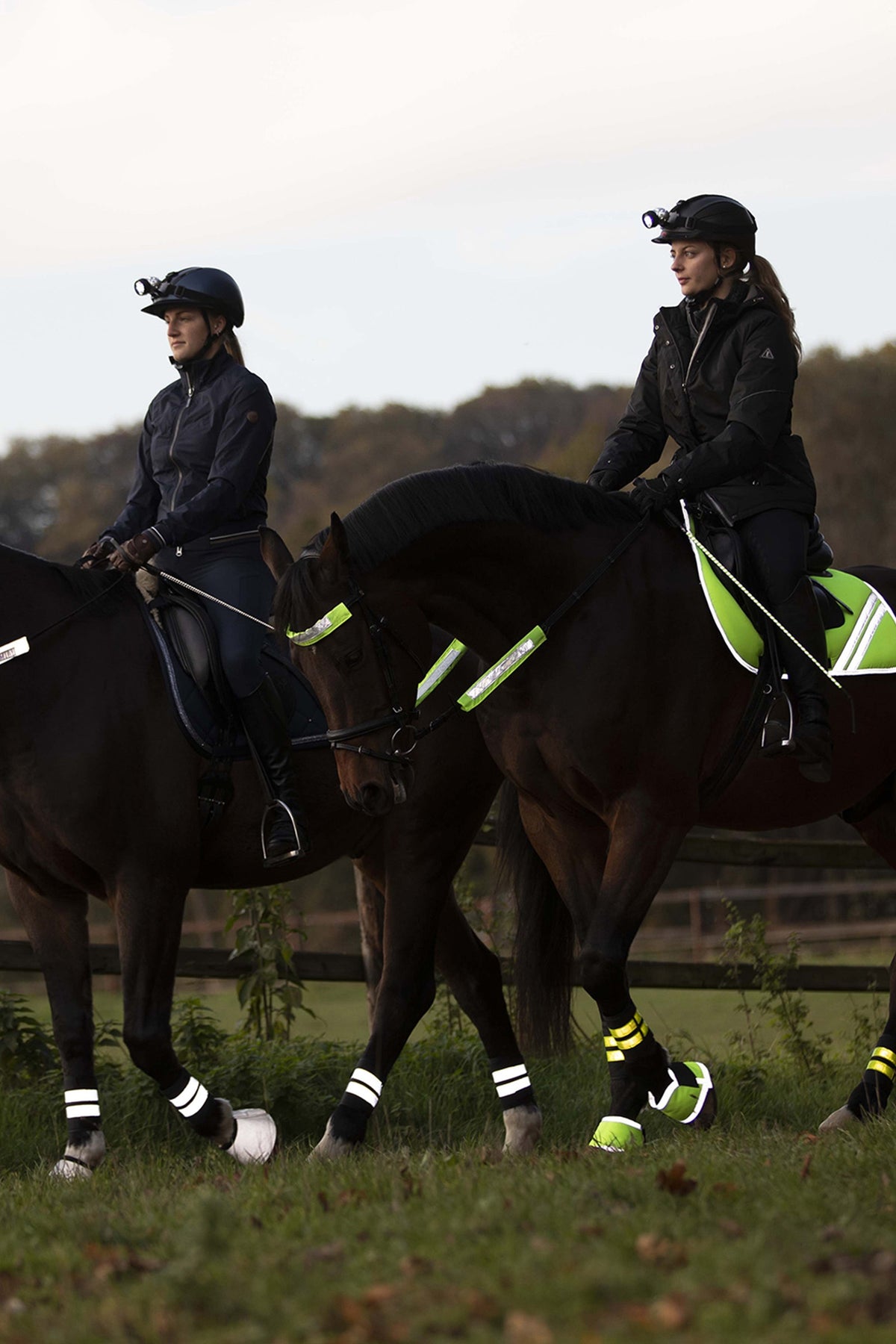Waldhausen REFLEX Snaffle Bridle Set Reflective