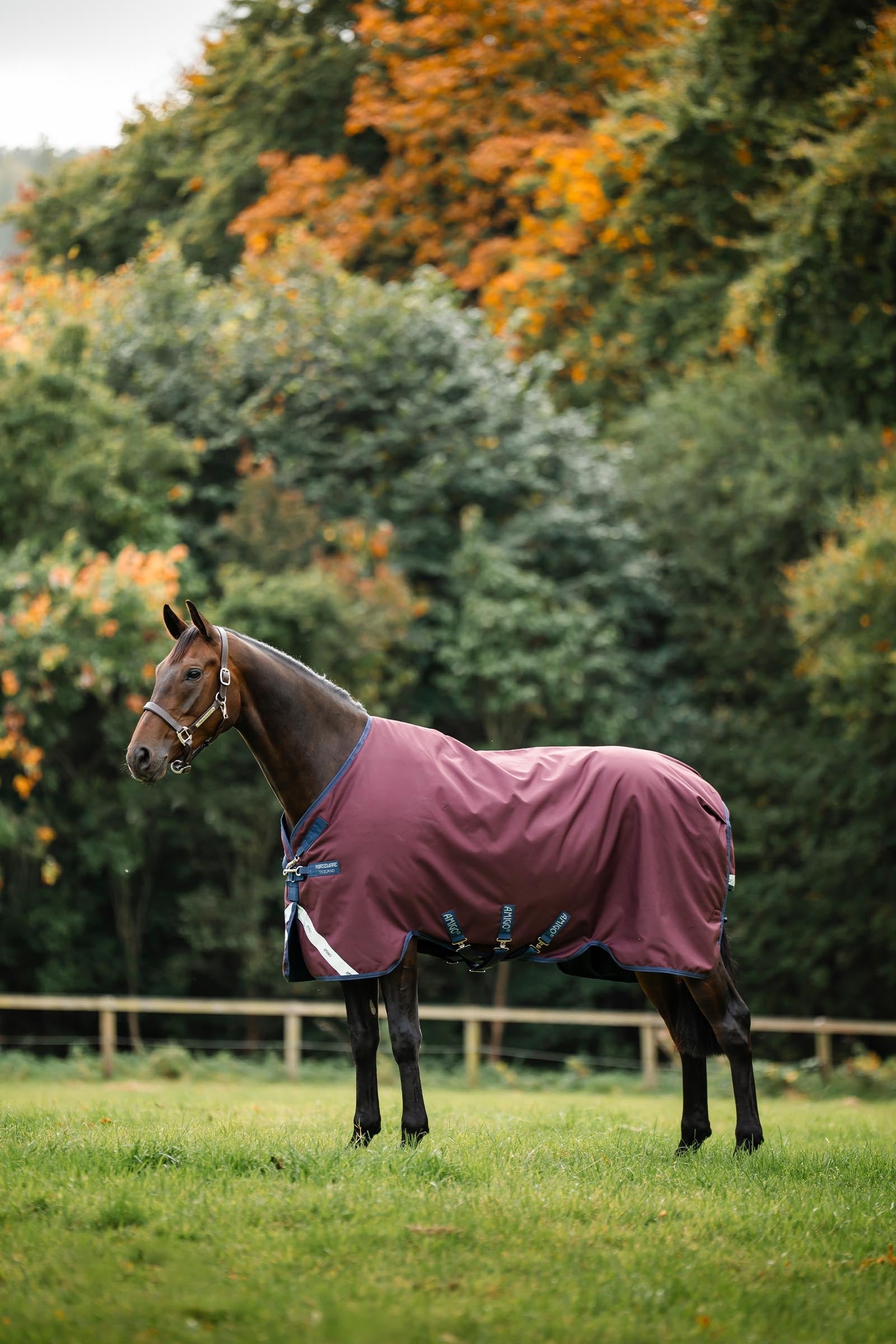 Horseware Amigo 1200D Turnout Rug, 0 g Horse Rugs