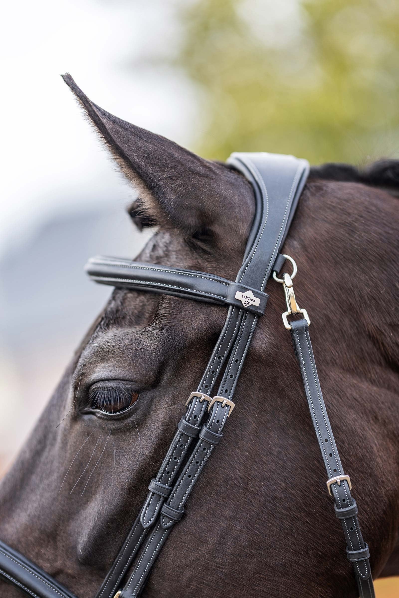 LeMieux Kudos Work Bridle Bridles & Reins