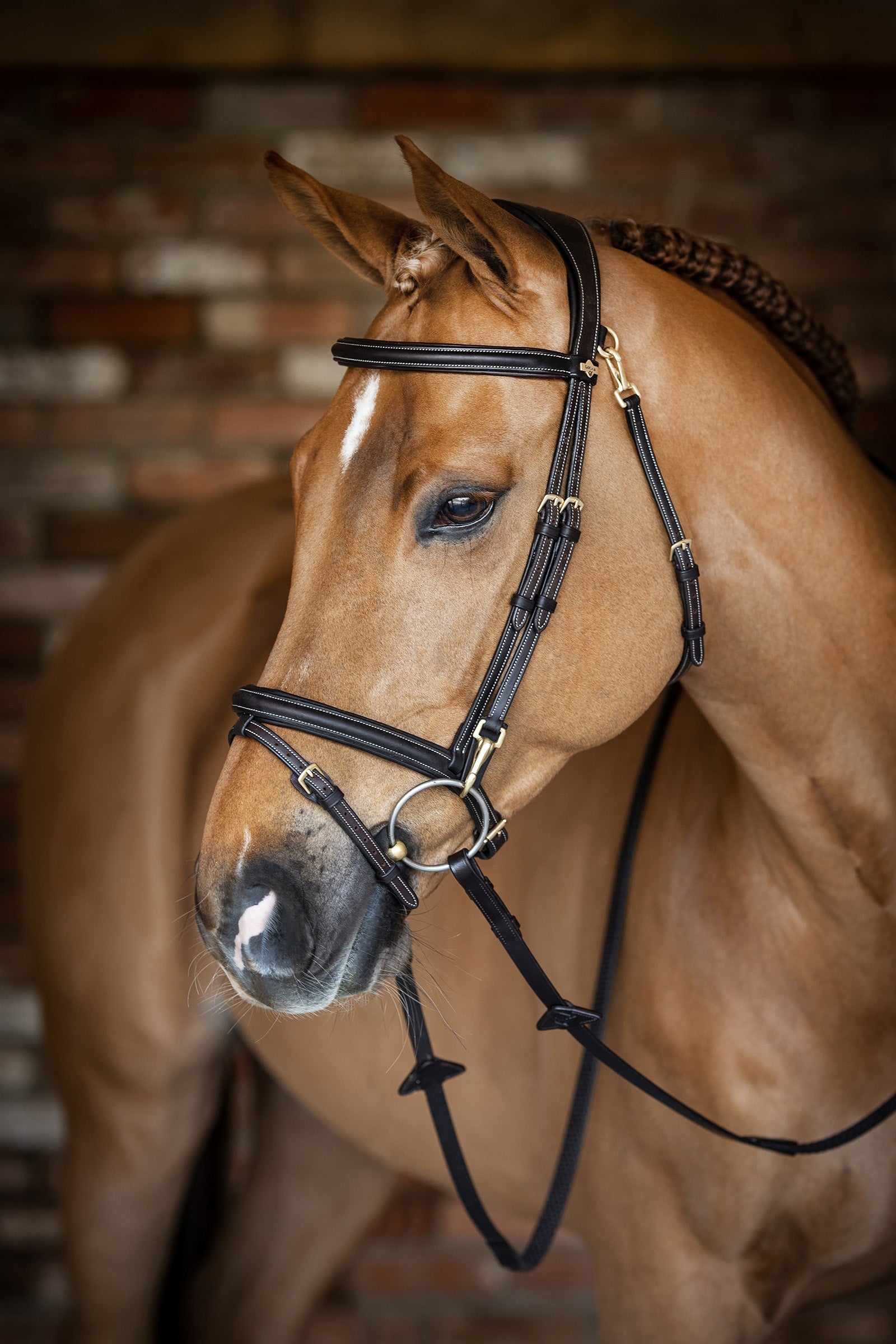 LeMieux Kudos Work Bridle Bridles & Reins