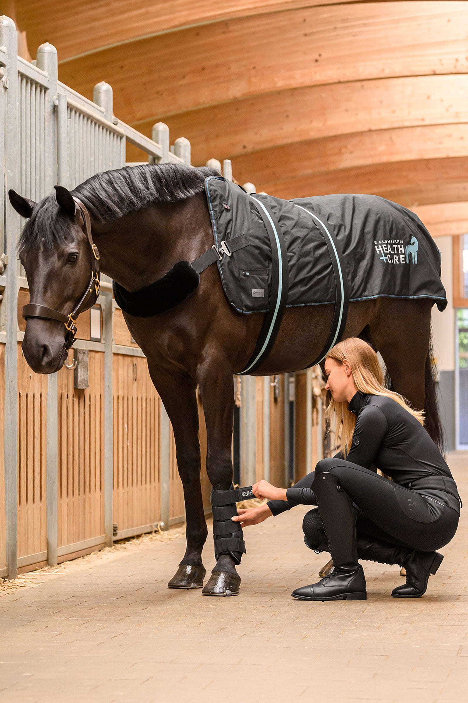 Waldhausen Health + Care Tec Supreme Heating & Massage Rug Horse Rugs