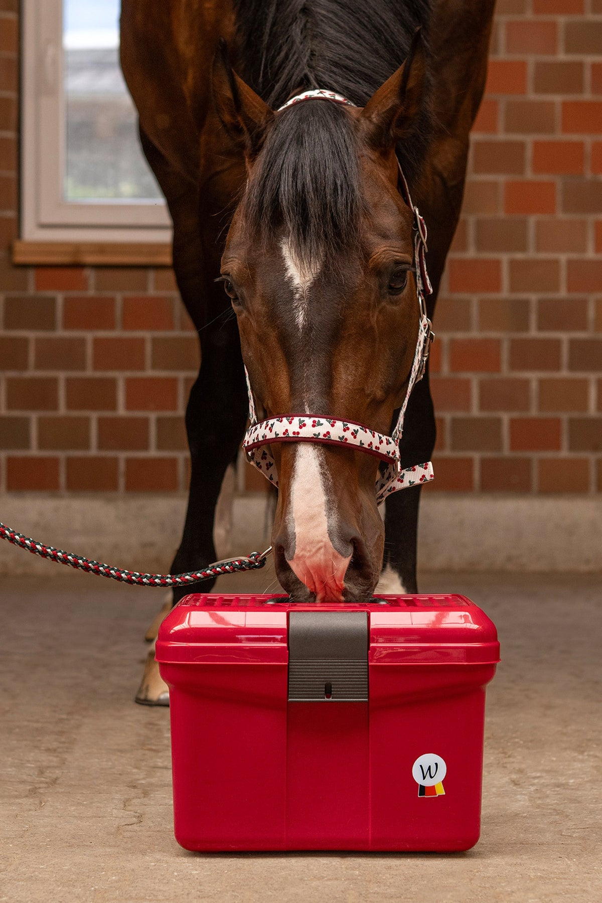Waldhausen ECO Grooming Box Horse Grooming Tools