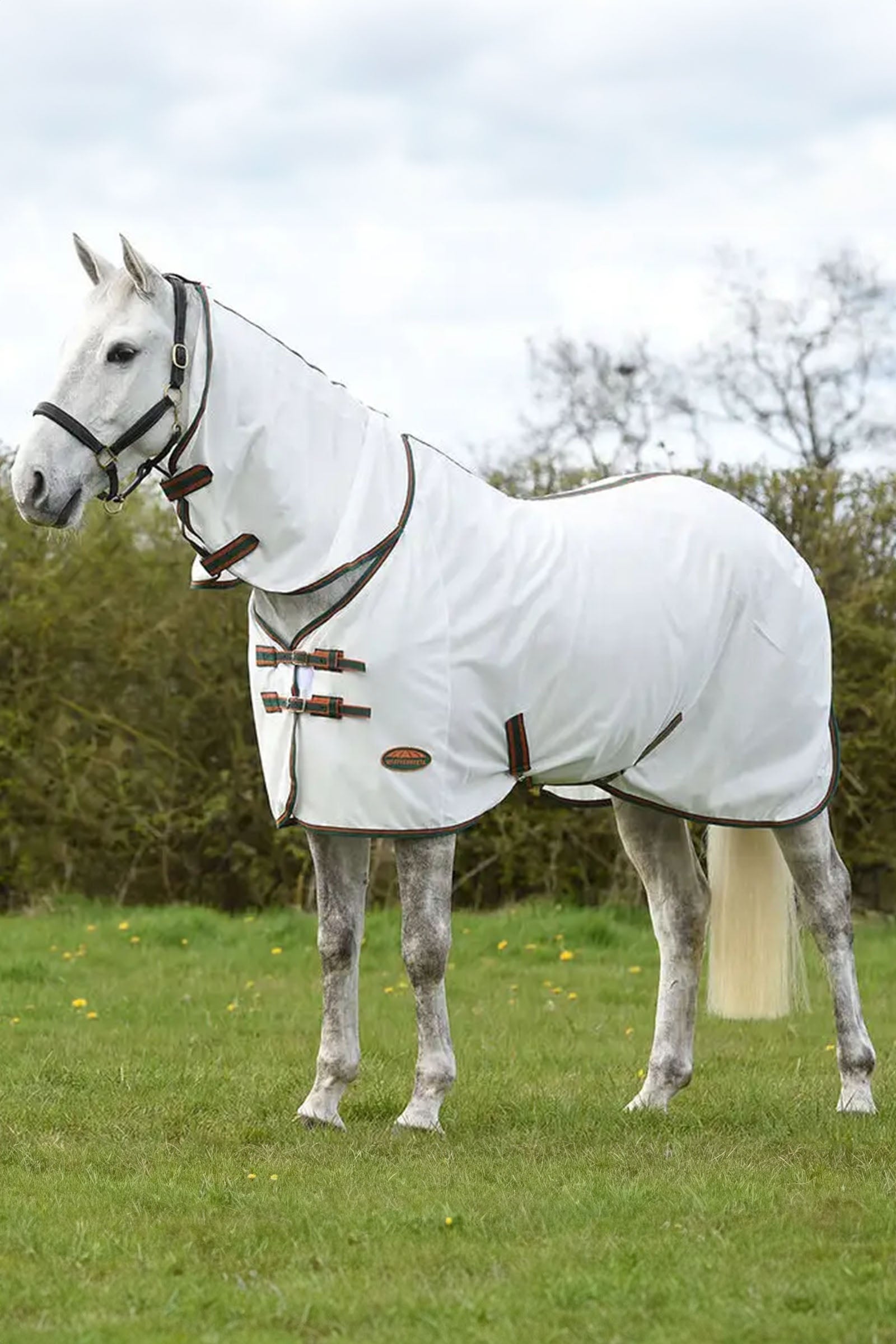 Weatherbeeta Comfitec Tyro verkkoloimi kaulakappaleella Loimet