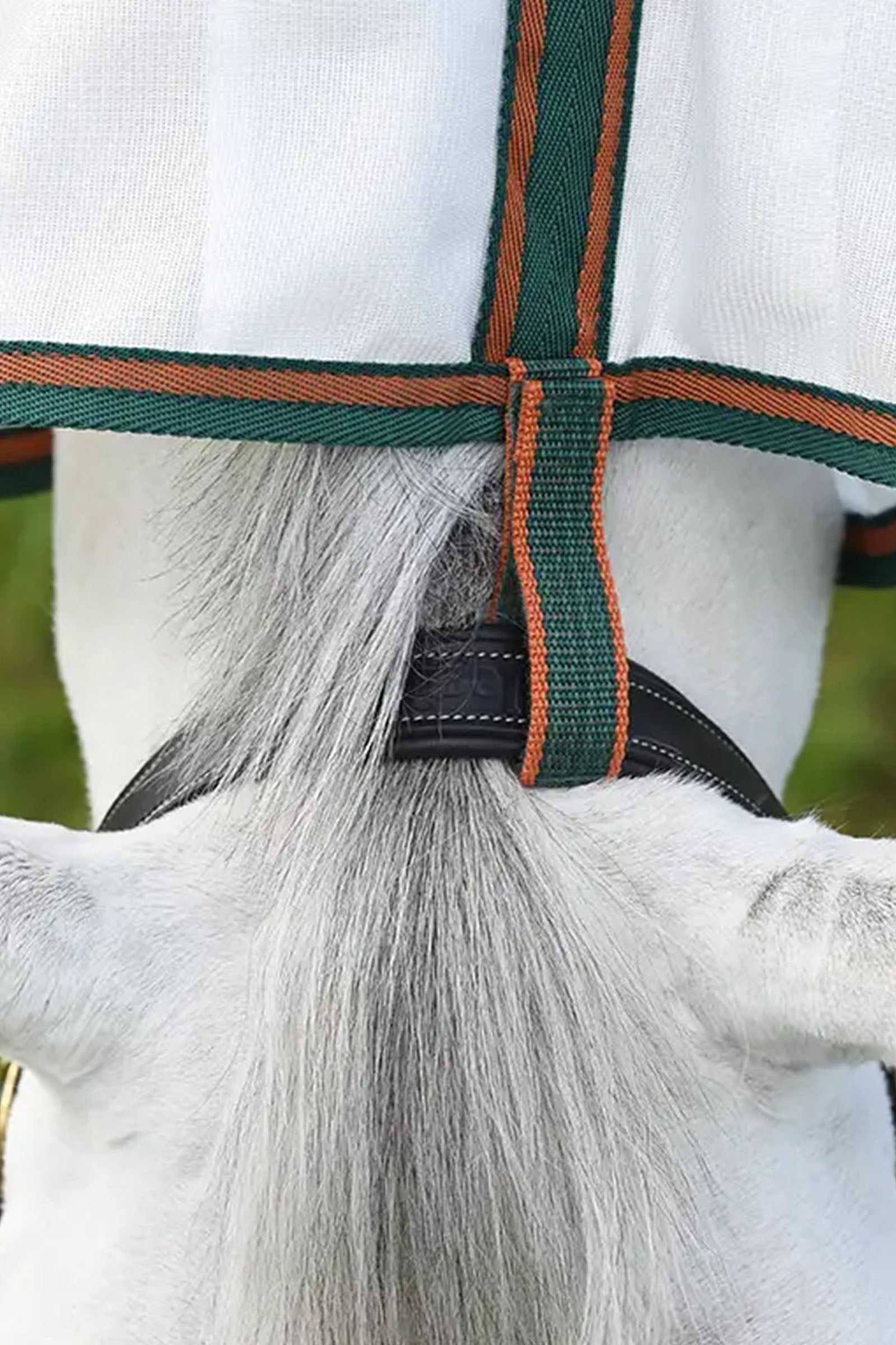 Weatherbeeta Comfitec Tyro Mesh Combo Neck Horse Rugs