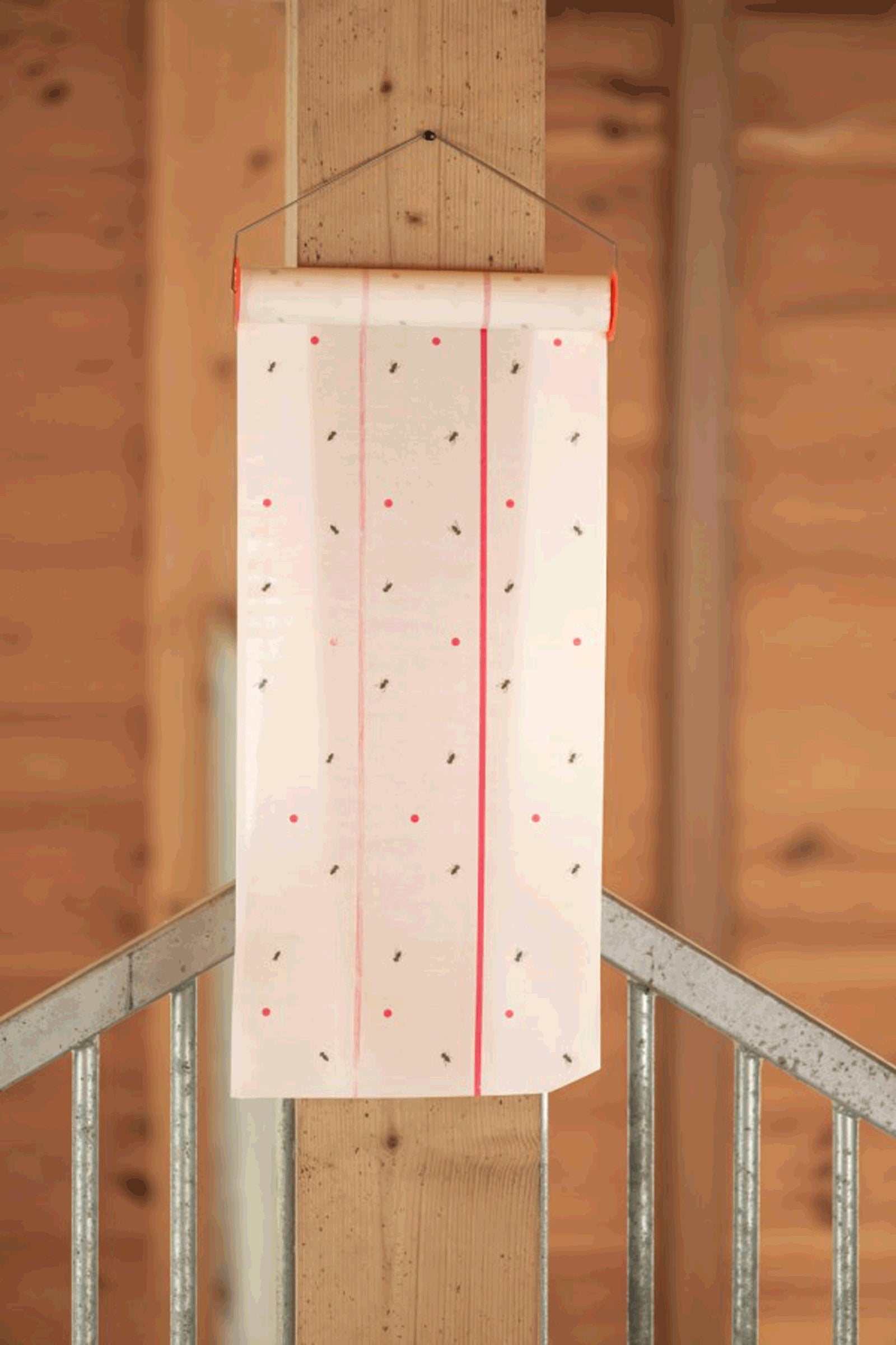 Kerbl Cit MuscaRoll Fly Trap, 10 m Antifly Protection for Horses