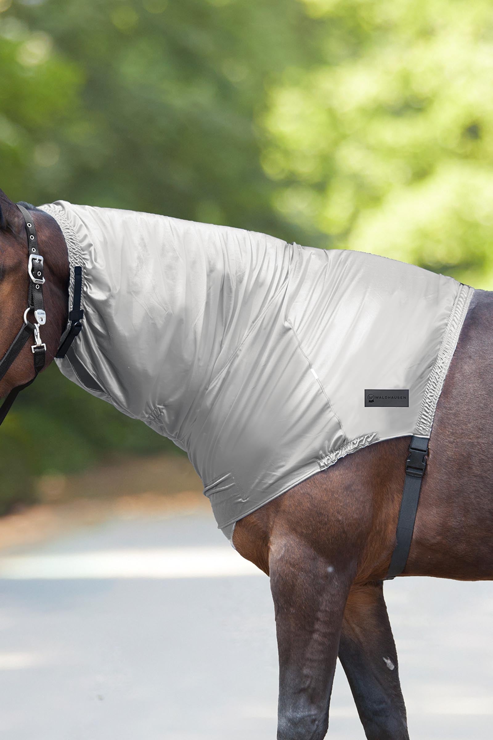 Waldhausen ekseema kaulakappale Loimet