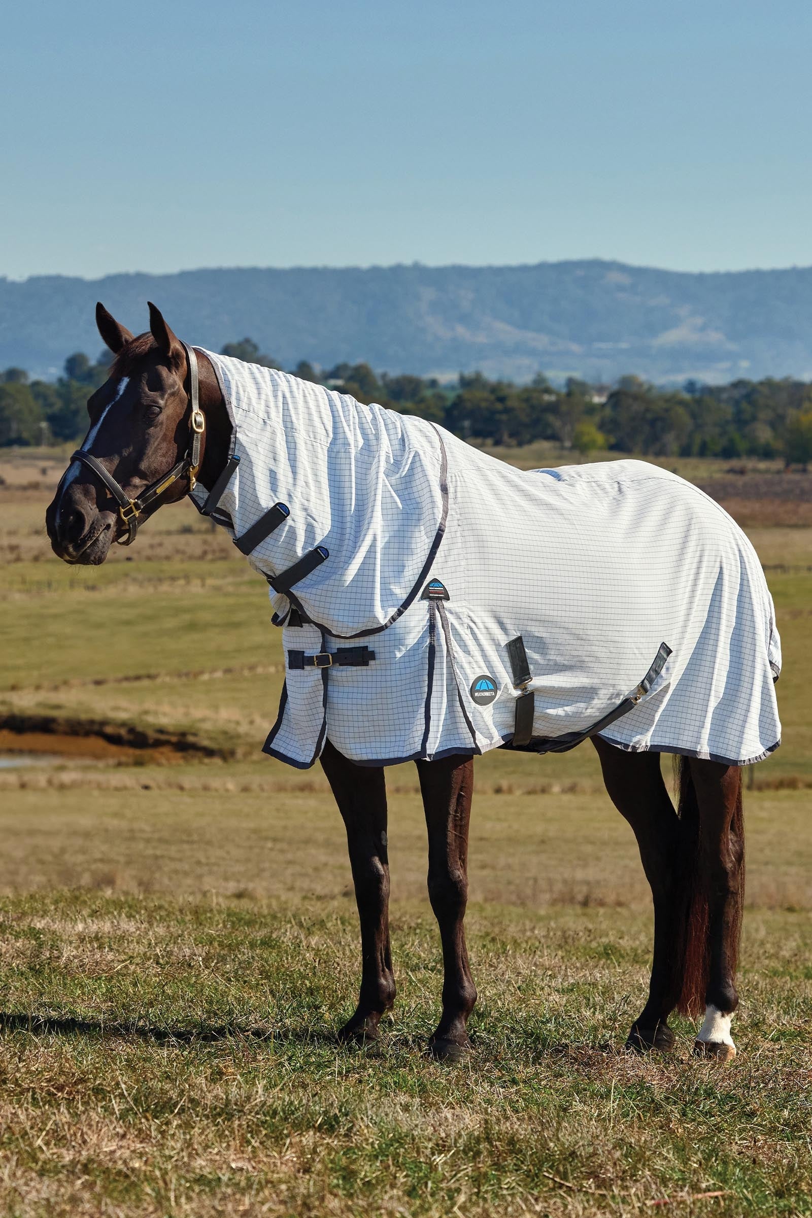 Weatherbeeta Hybrid Sheet Combo W. Fixed Neck, 0g Horse Rugs