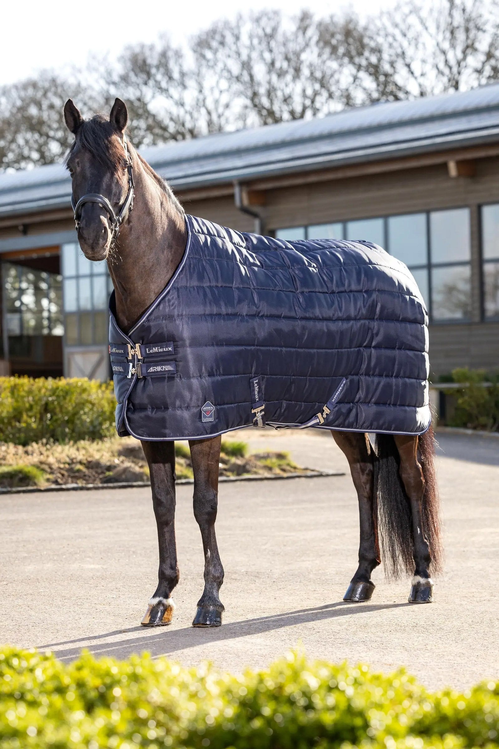 LeMieux Arika Stable-Tek Stable Rug, 200 g Horse Rugs