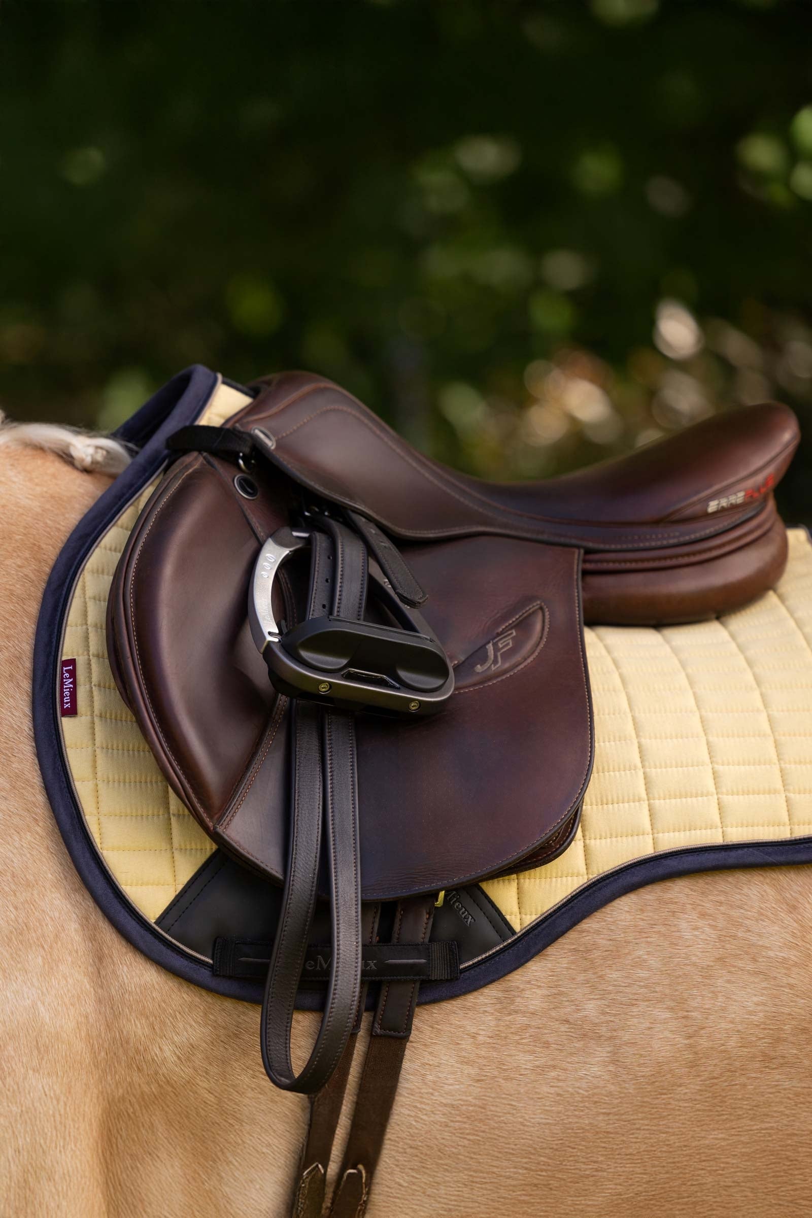 LeMieux Suede GP Square Saddle Pads