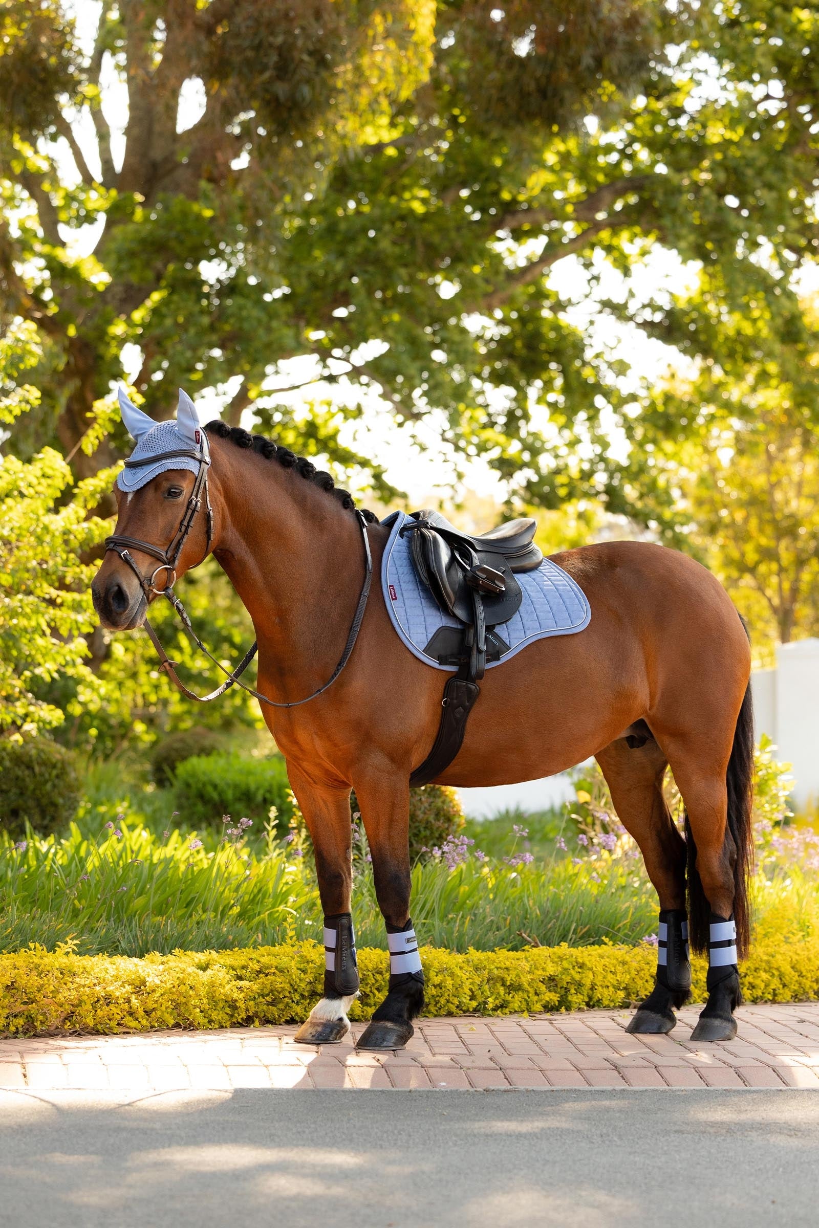 LeMieux Suede GP Square Saddle Pads