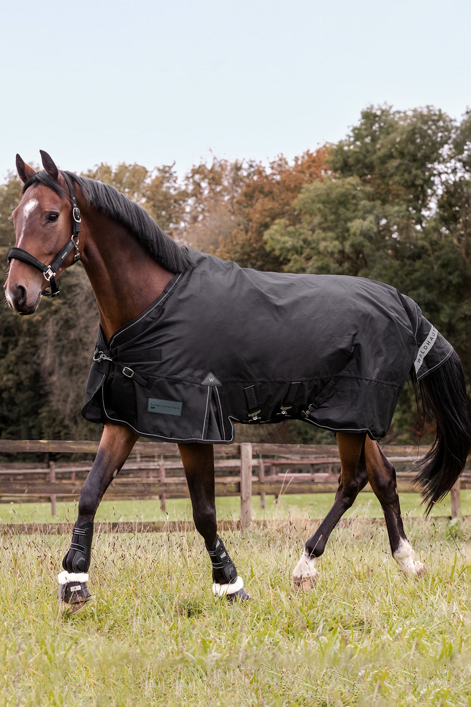 Waldhausen Outdoor Rug Scandic Light Horse Rugs