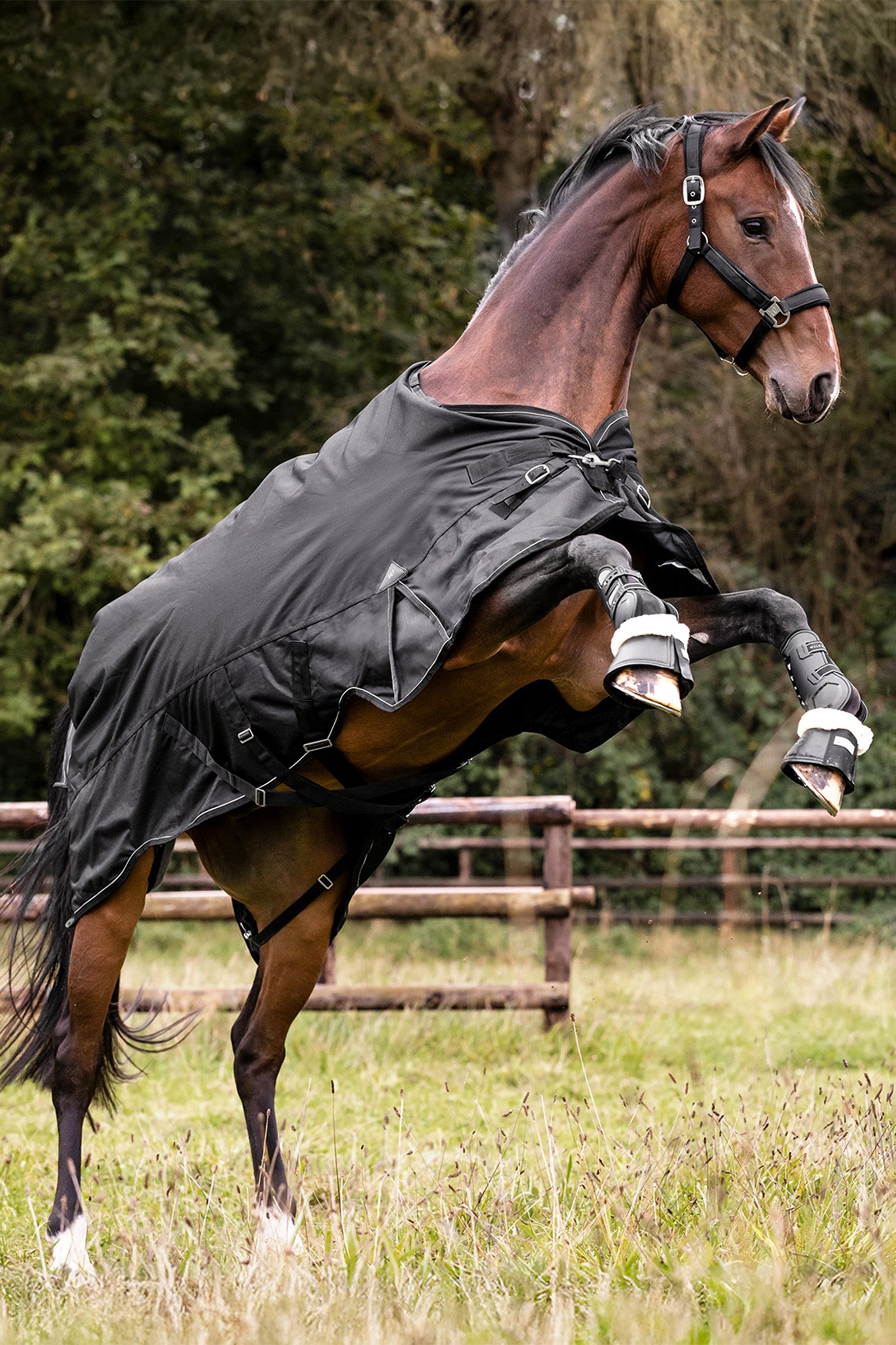 Waldhausen Outdoor Rug Scandic Light Horse Rugs