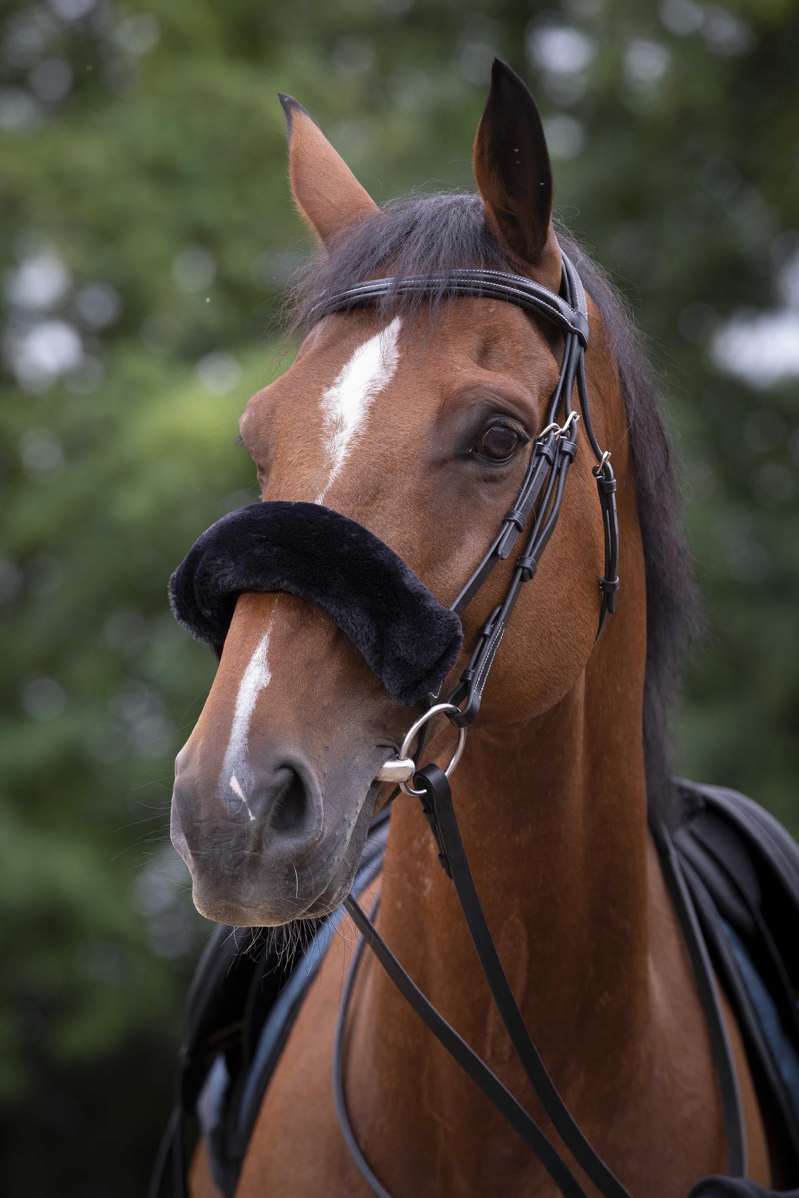 EQUITHÈME Teddy Noseband Sleeve Bridles & Reins