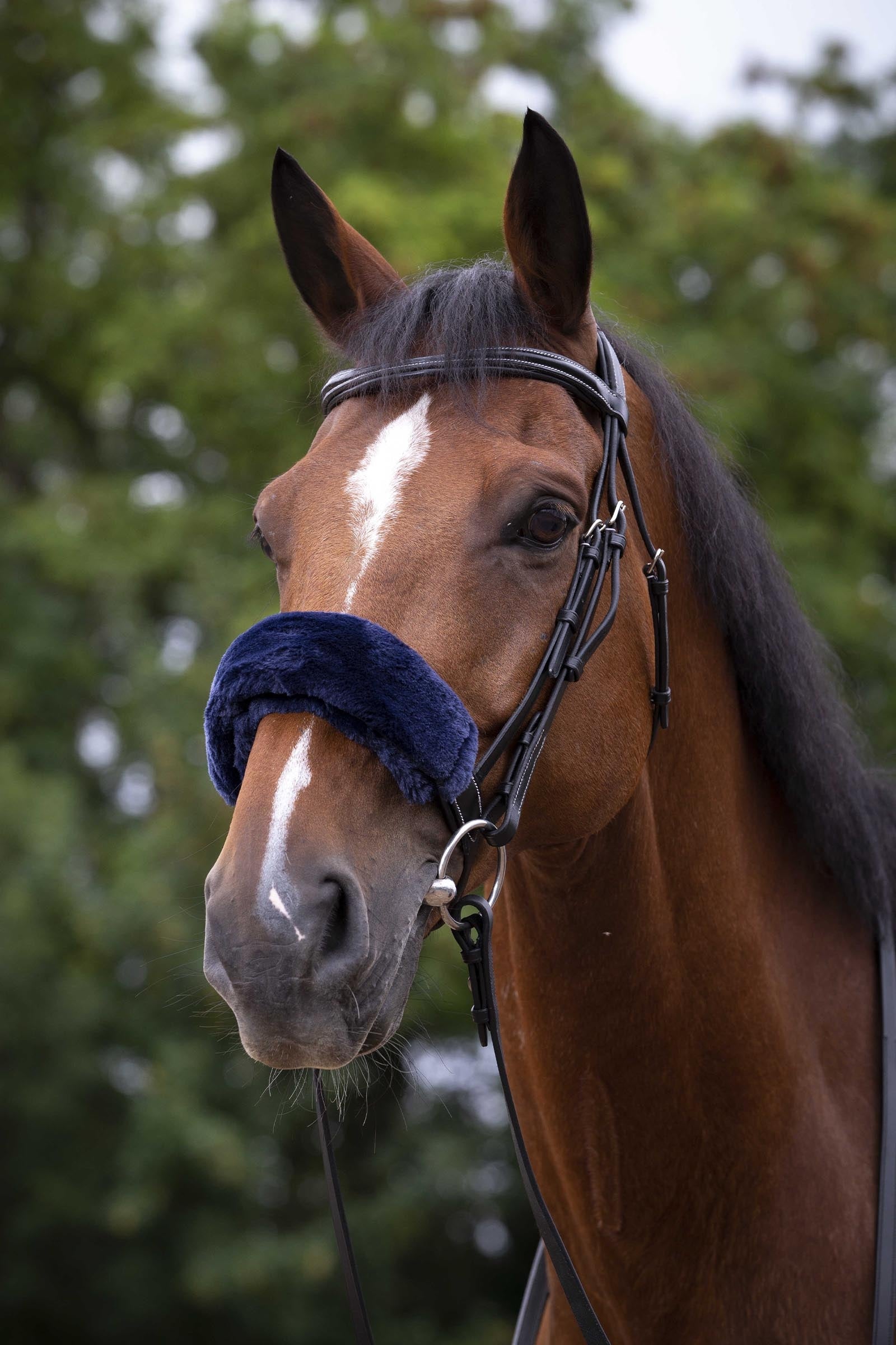 Equi Theme EQUITHÈME Teddy Noseband Sleeve Bridles & Reins