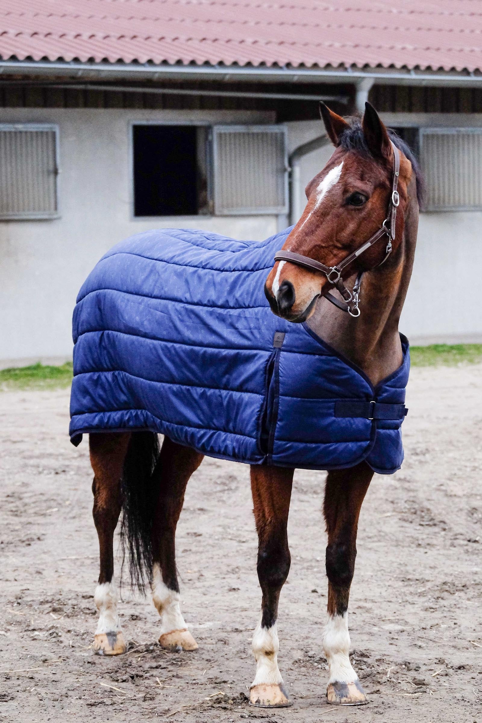 EQUITHÈME Classic Under Rug, 200 g Horse Rugs