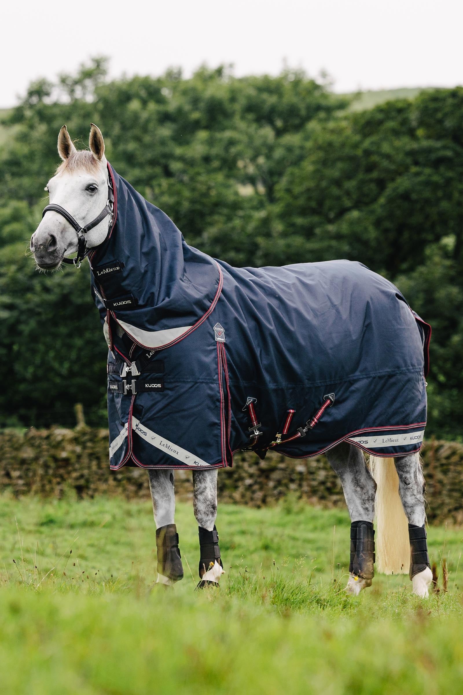 LeMieux Kudos Lightweight Turnout Rug, 50 g Loimet