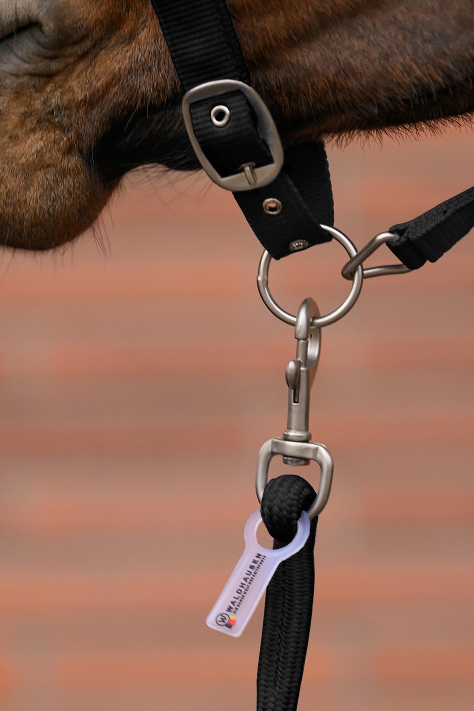 Waldhausen Velvet Halter and Lead Rope Set Halters & Leads