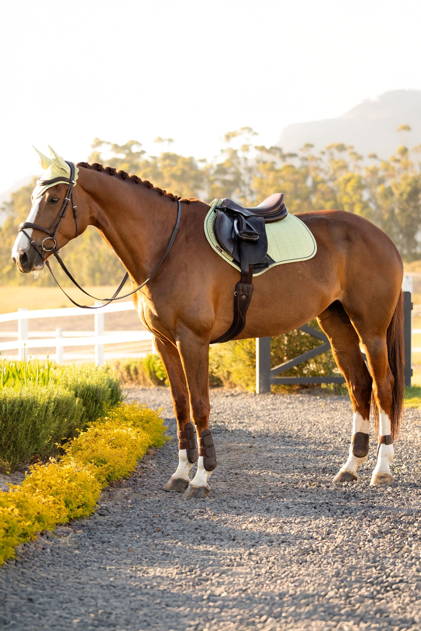 LeMieux Lemieux Suede Close Contact Square Saddle Pad Saddle Pads