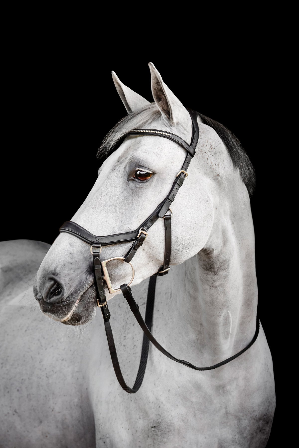Horseware Diamante Competition Micklem Bridles & Reins