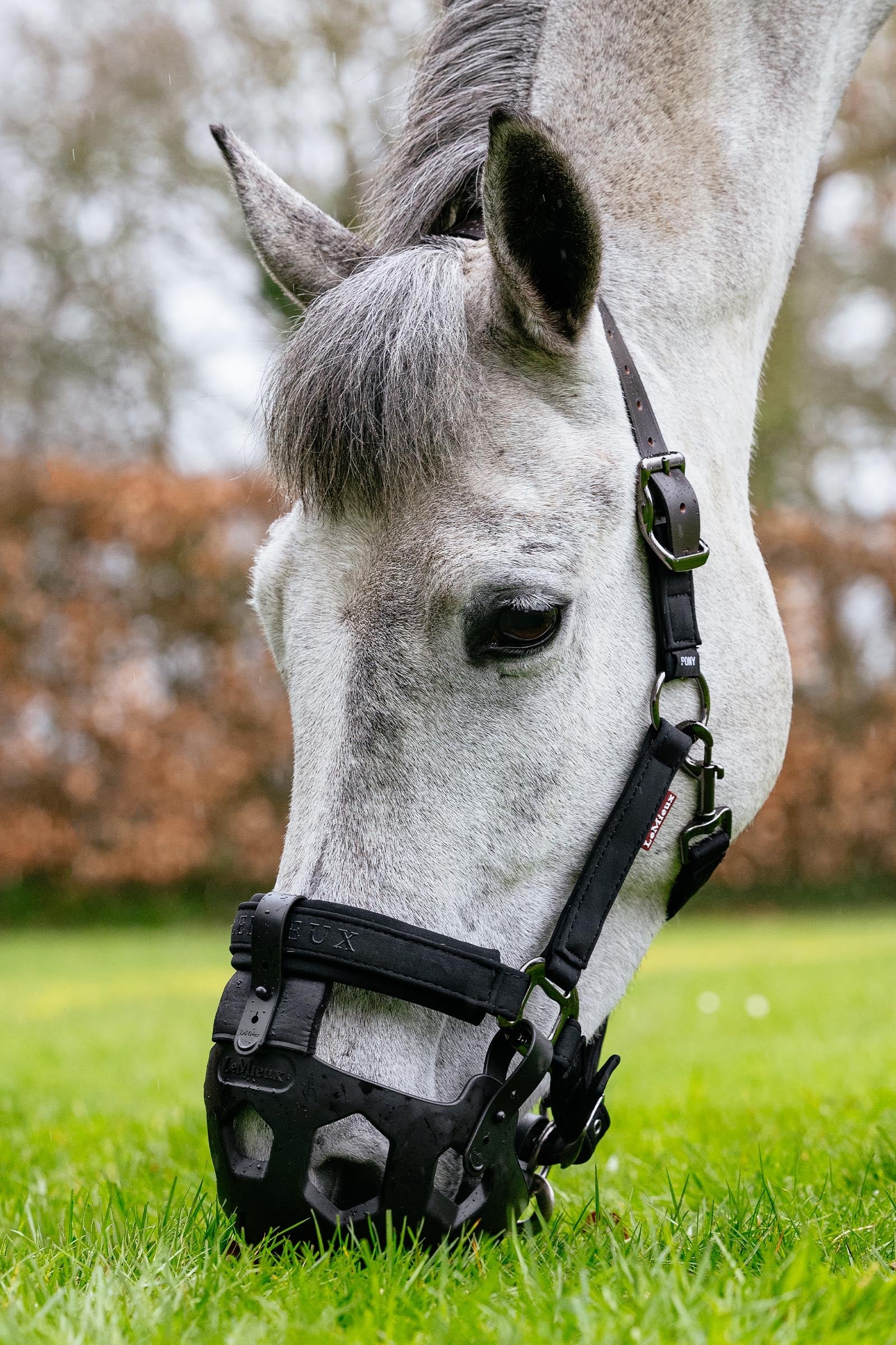 LeMieux Noma Grazing Muzzle Halters & Leads