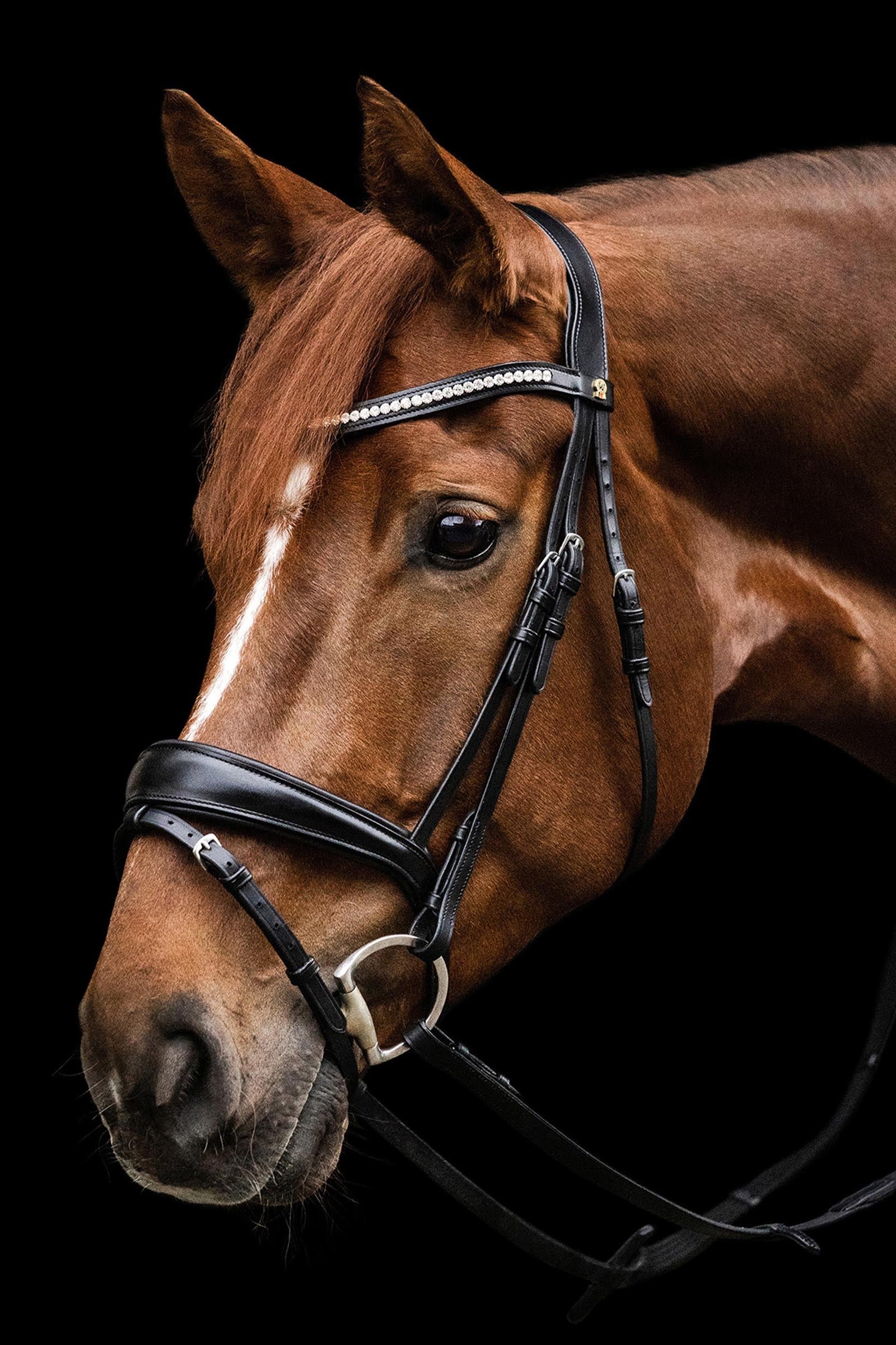 Waldhausen S-Line Essential English Combined Bridle Bridles & Reins