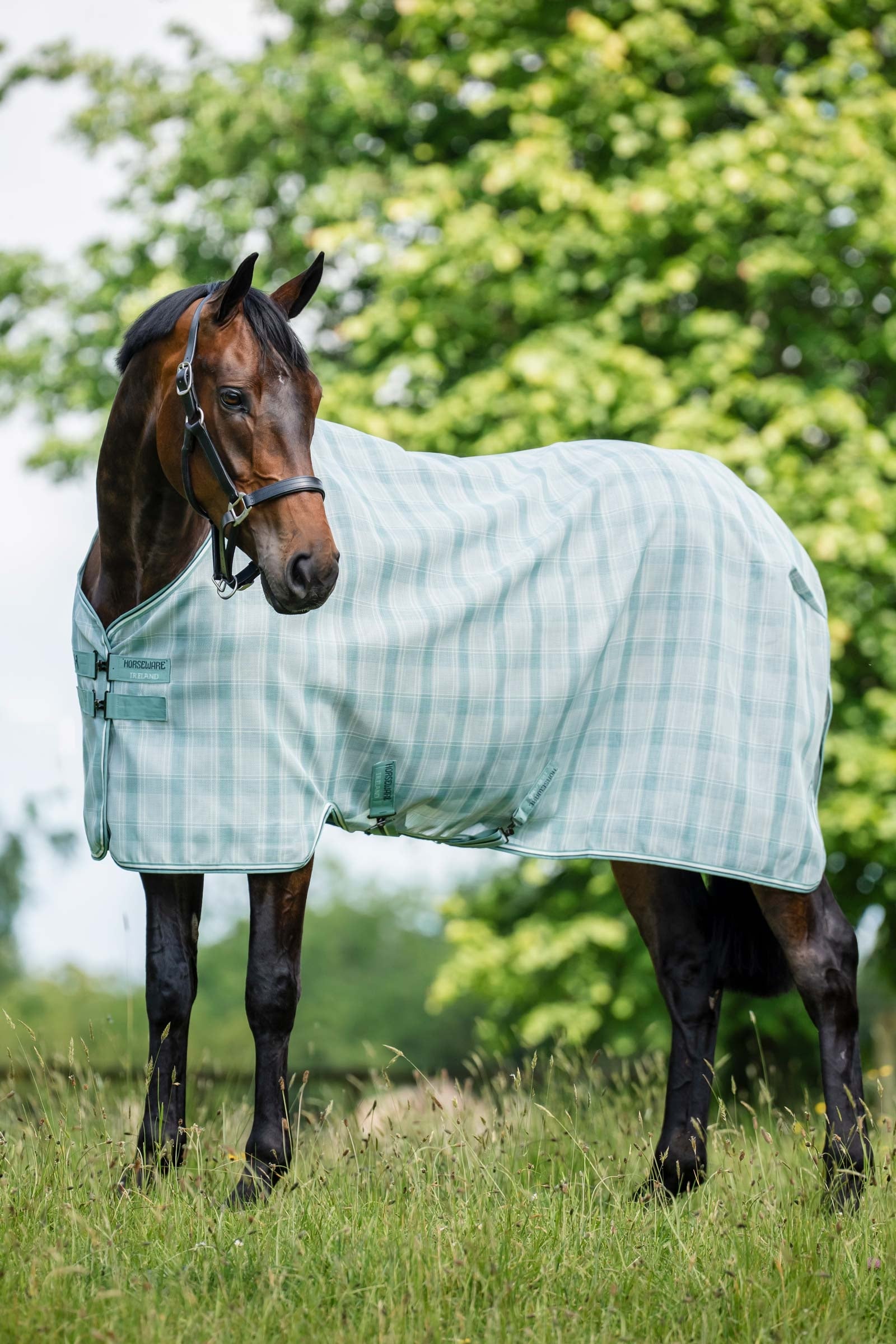 Horseware Newmarket hyönteisloimi UV-suojalla Loimet