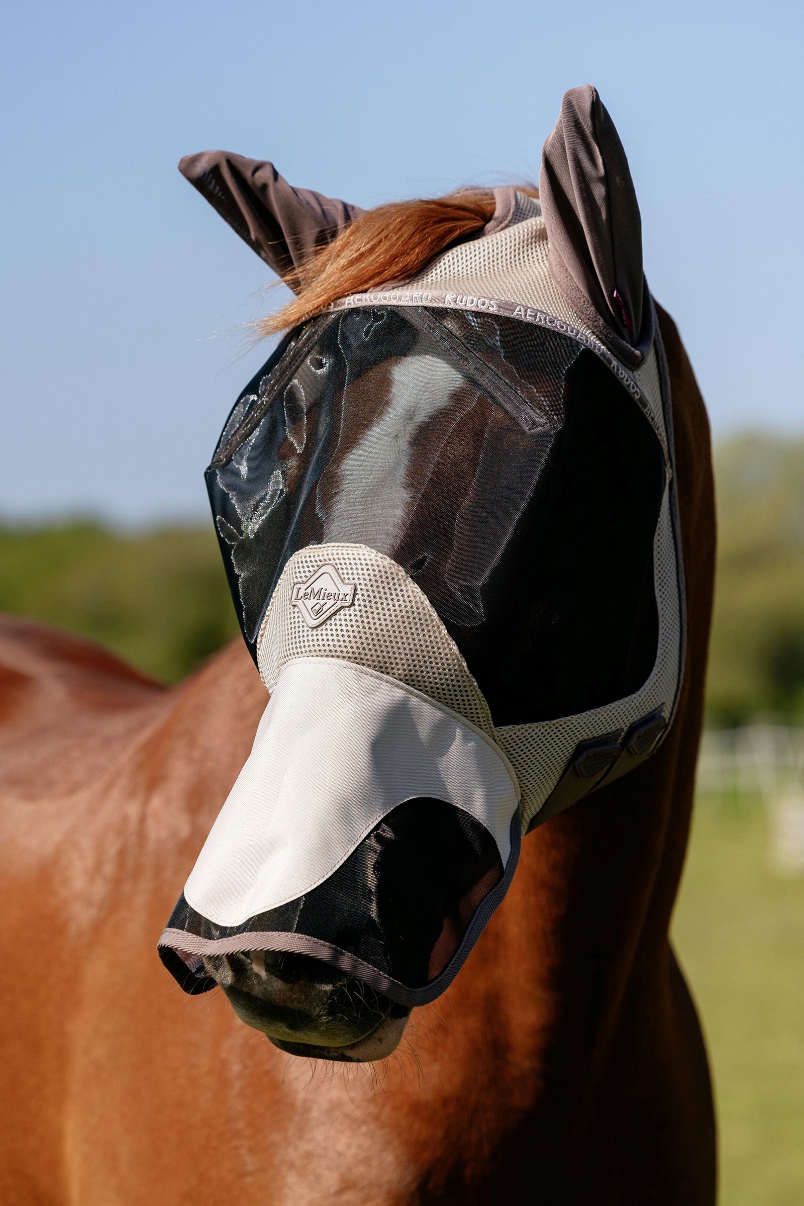 LeMieux Kudos AeroGuard Half Fly Mask Antifly Protection for Horses