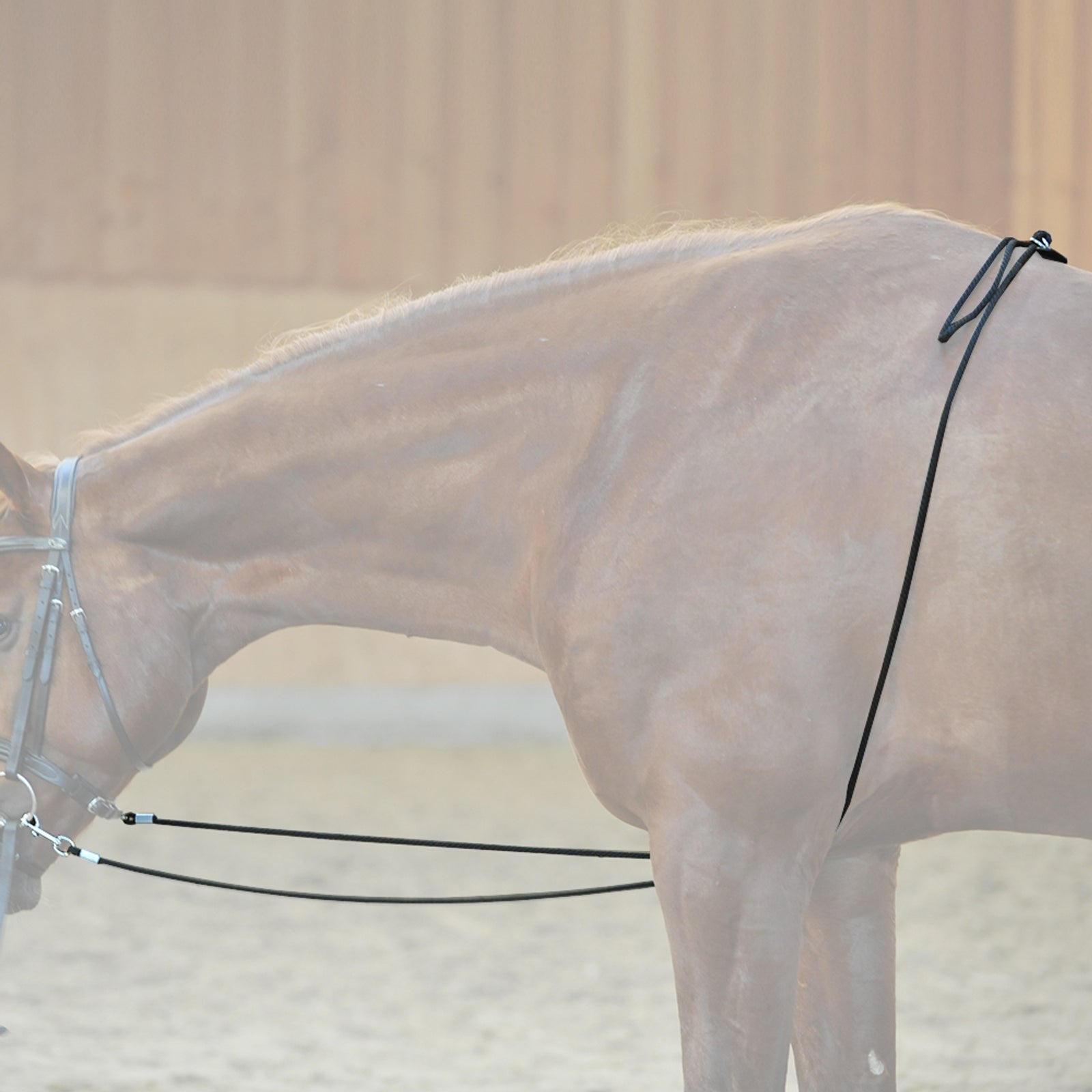 Kavalkade HO juoksutusapu Juoksutus & ohjasajo