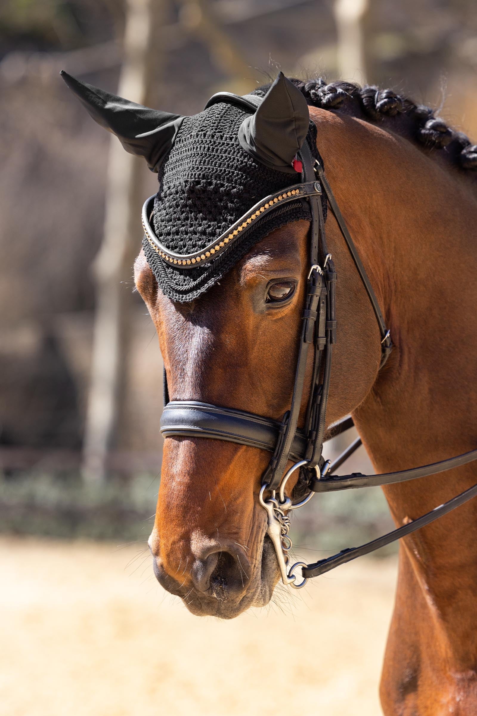 LeMieux Vogue Fly Hood Saddle Pads