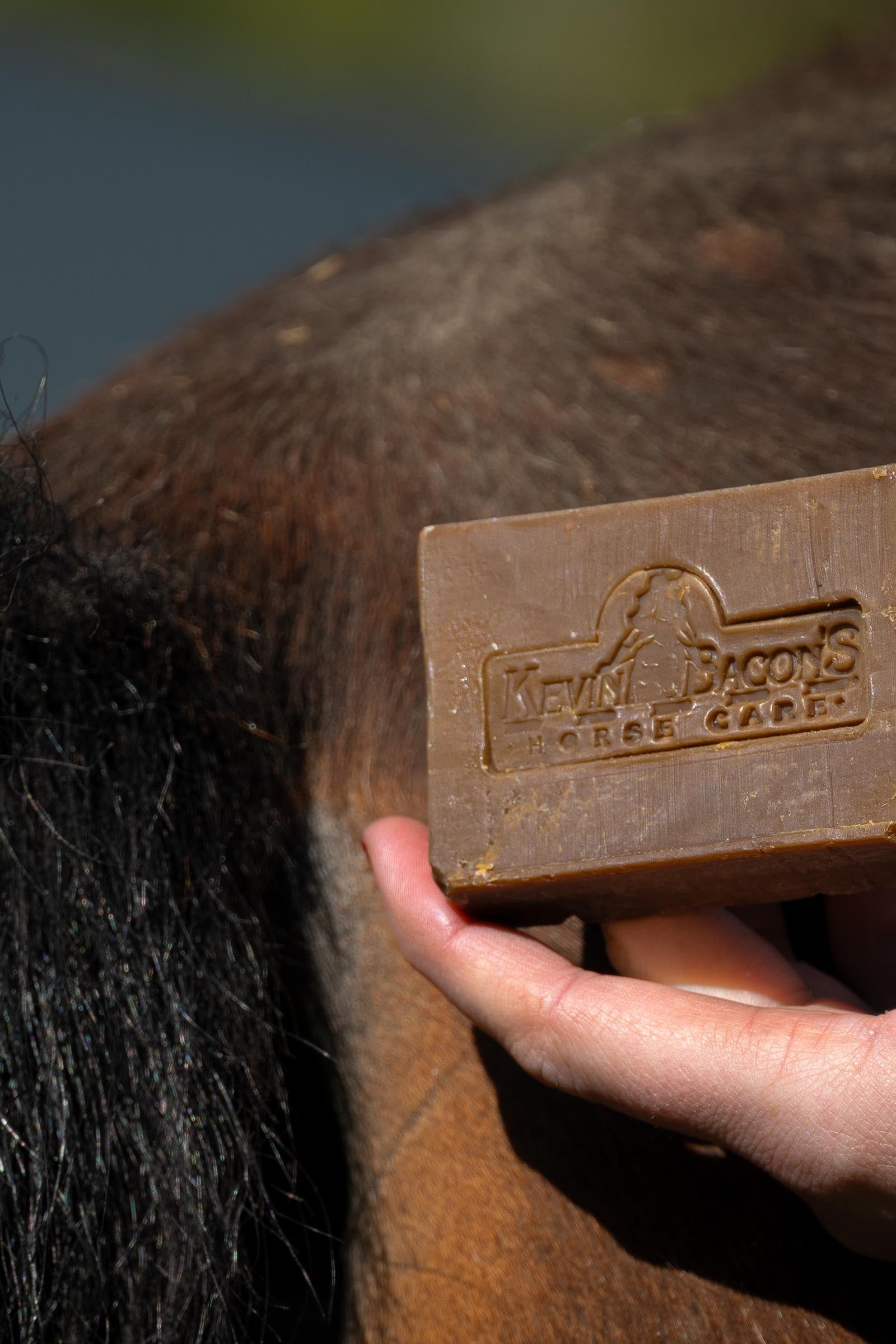 Kevin Bacon´s Kevin Bacon's Active Soap, 100g Horse Health Care