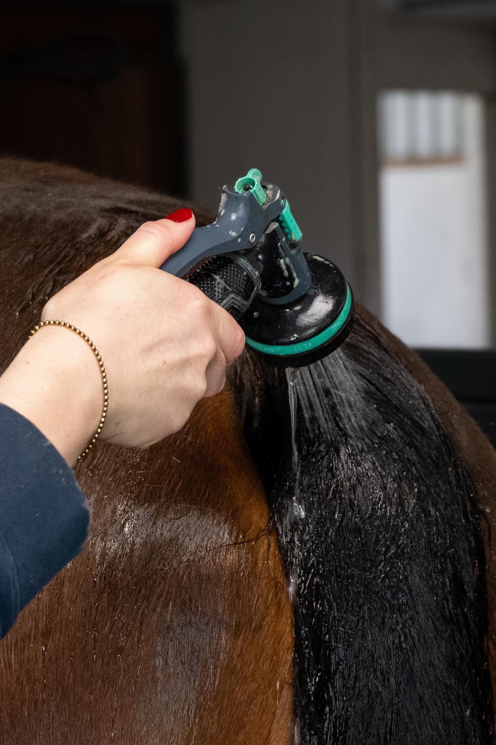 Kevin Bacon´s Kevin Bacon's Active Soap, 100g Horse Health Care
