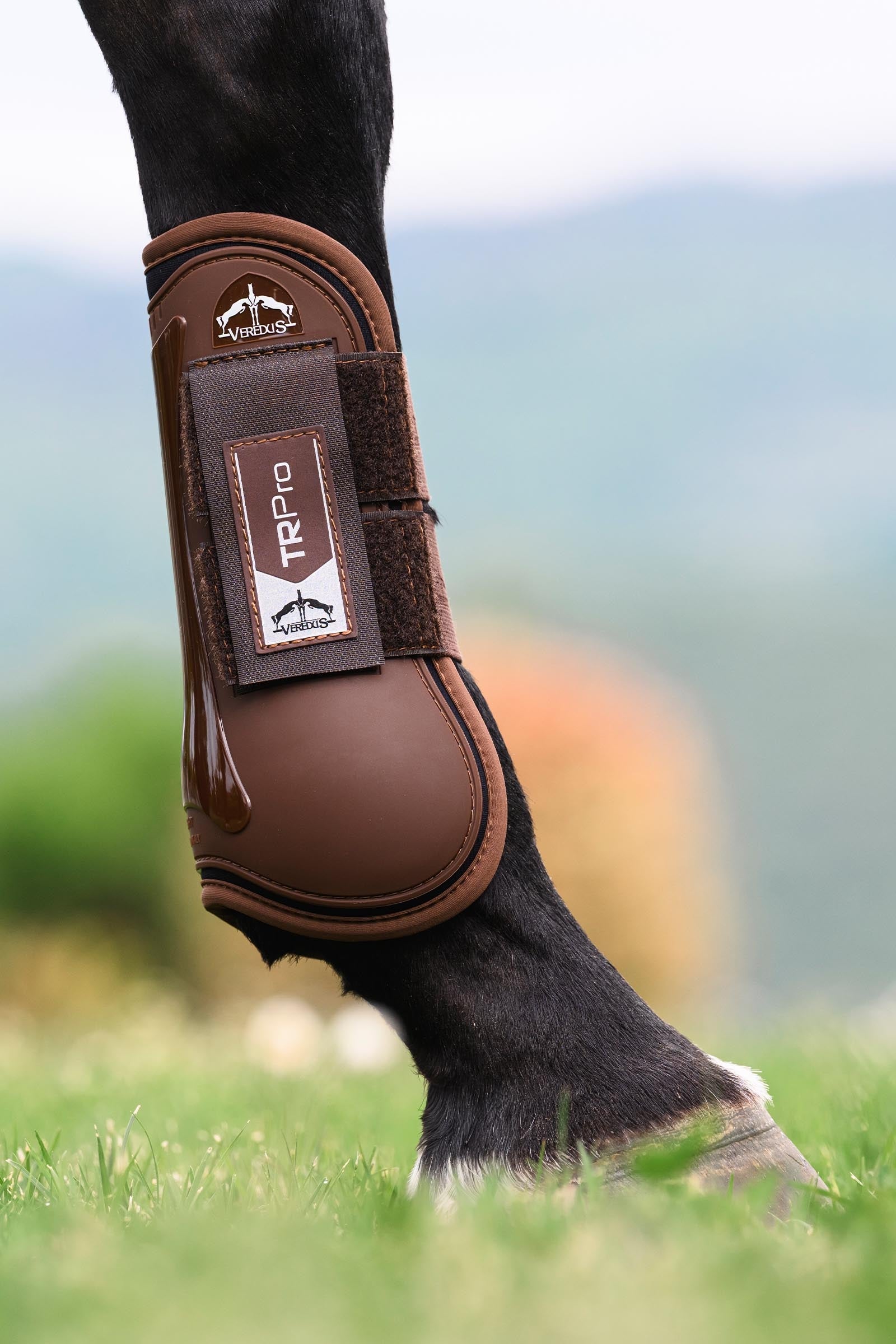 Lifestyle shot 2