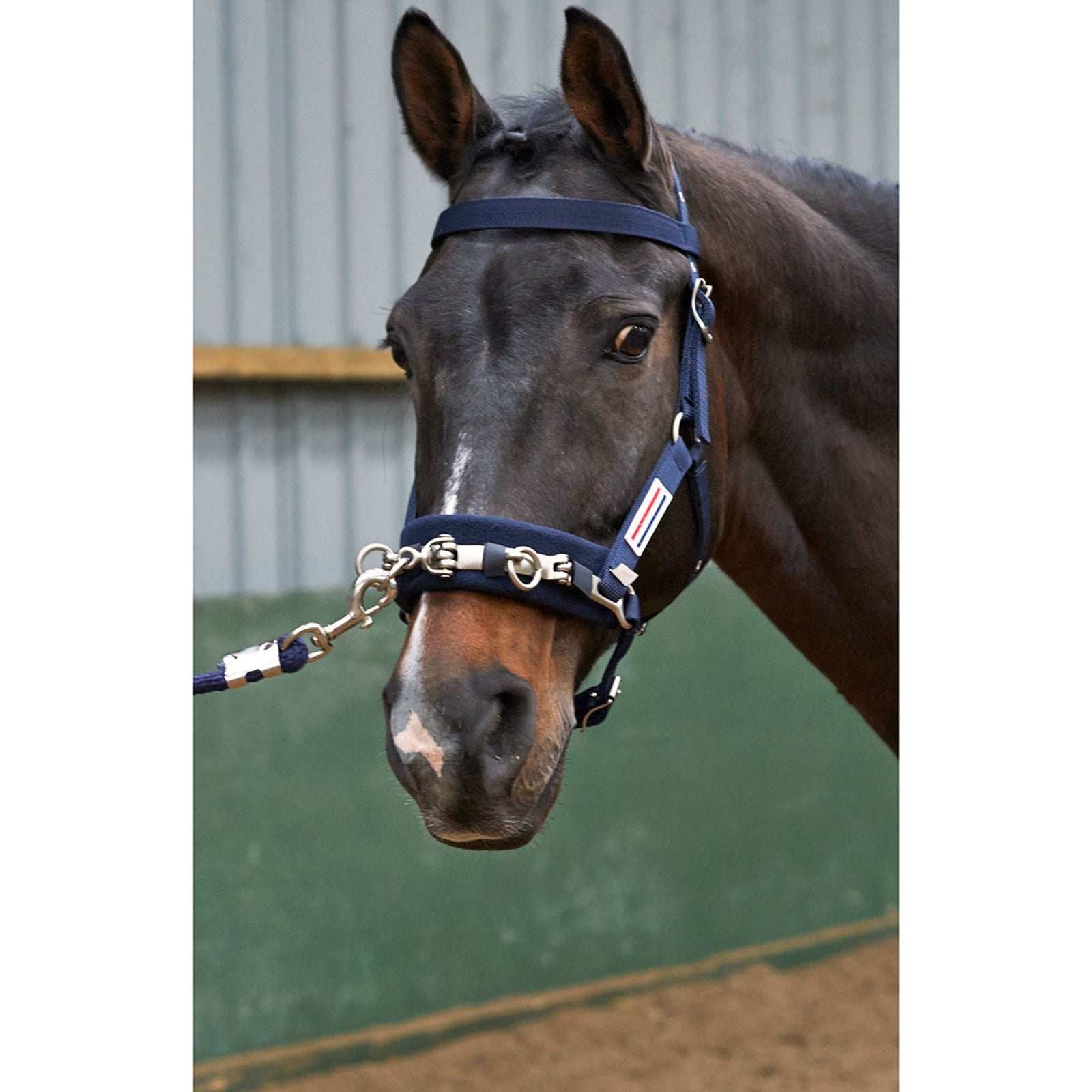John Whitaker JW juoksutusriimu Riimut & riimunnarut