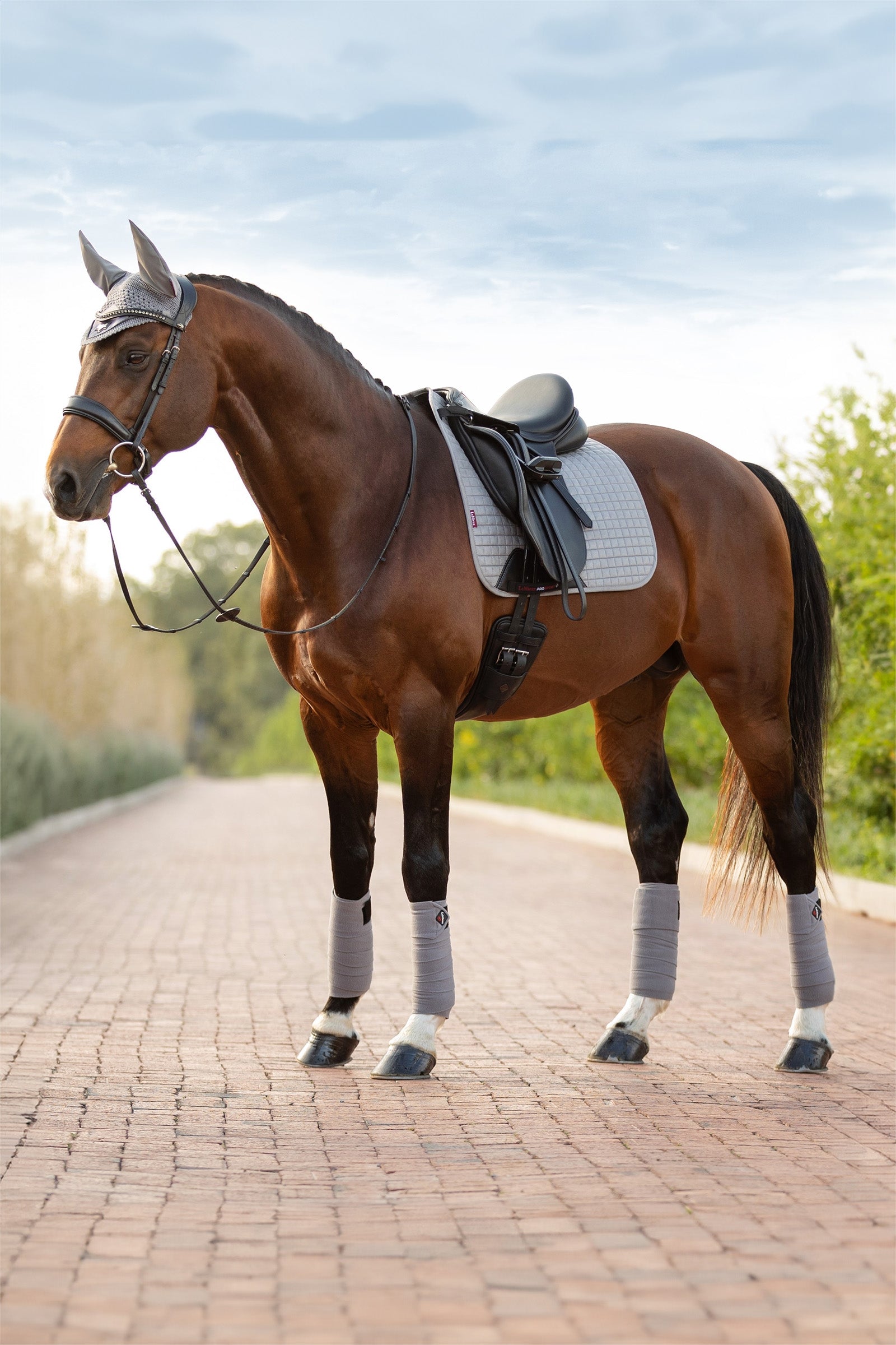 LeMieux Suede koulusatulahuopa Satulahuovat